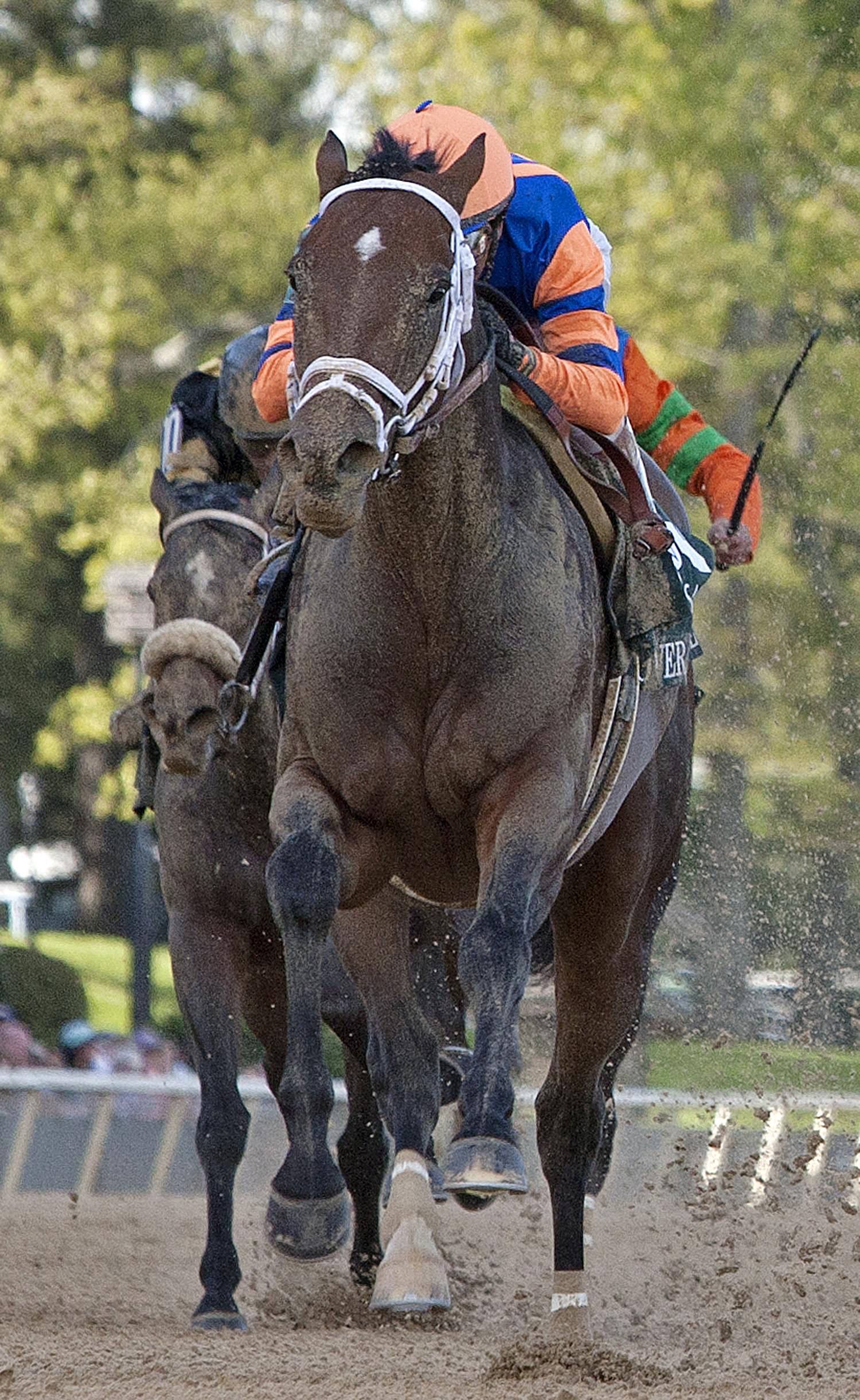 Slider Image