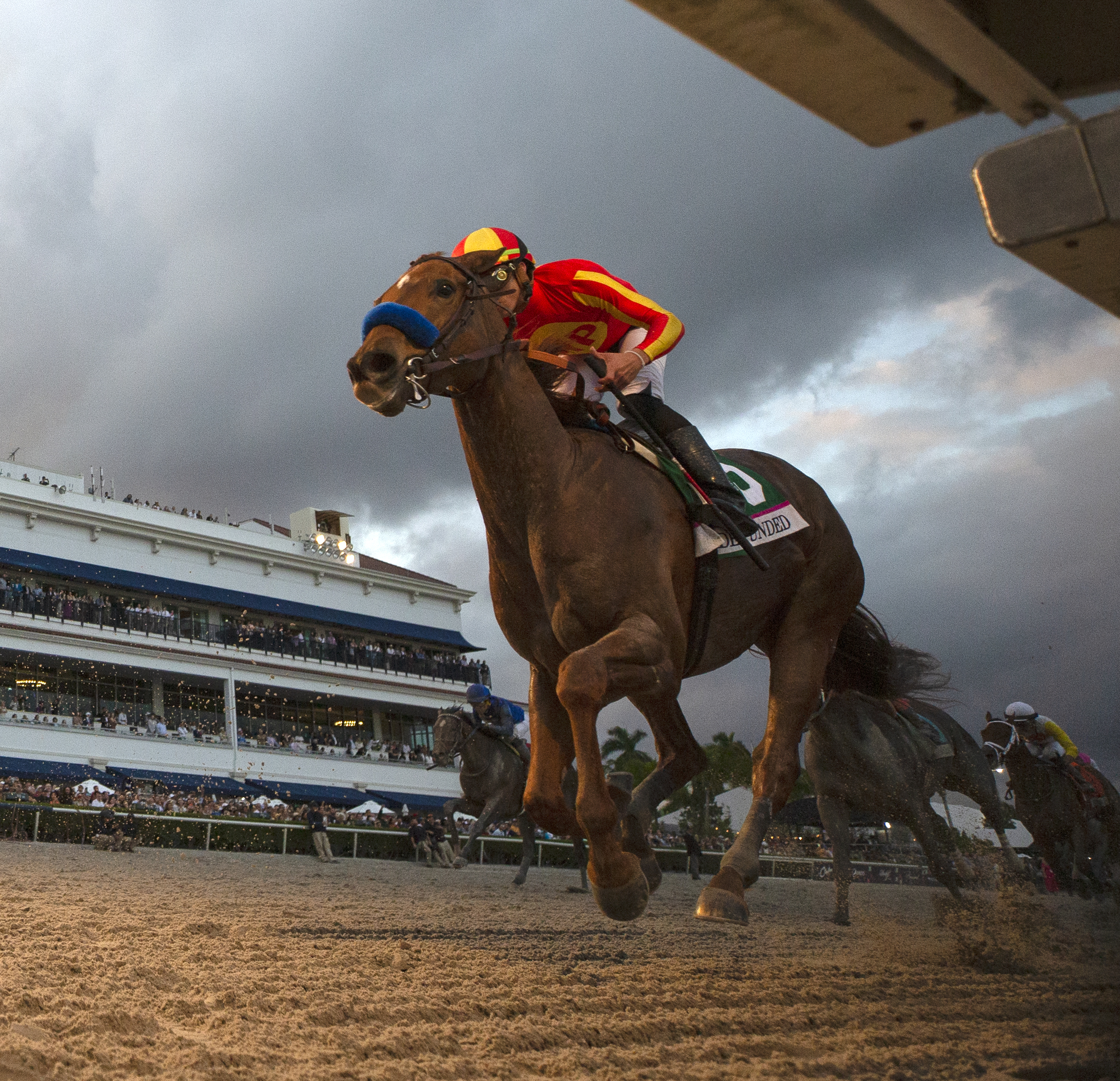 Big Fish reels in California Cup Derby at Santa Anita – San Gabriel Valley  Tribune