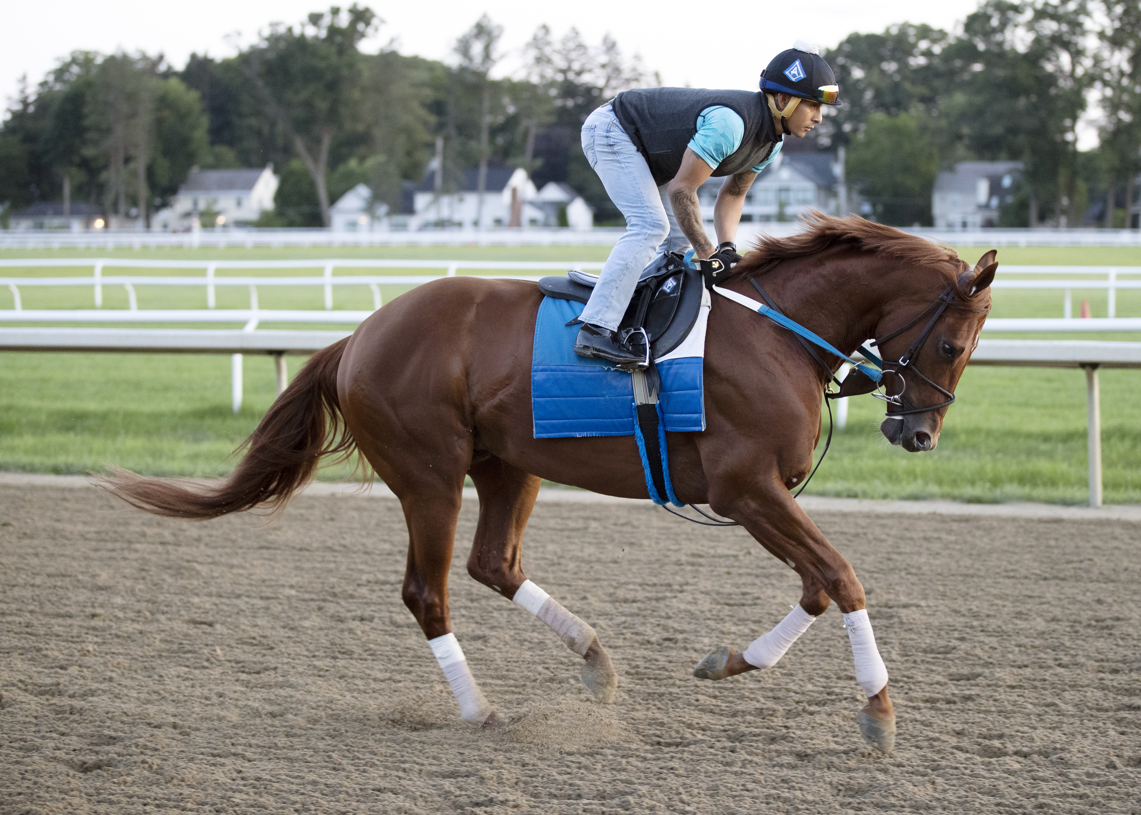 Disarm Baseball Disarm works half-mile for Jim Dandy