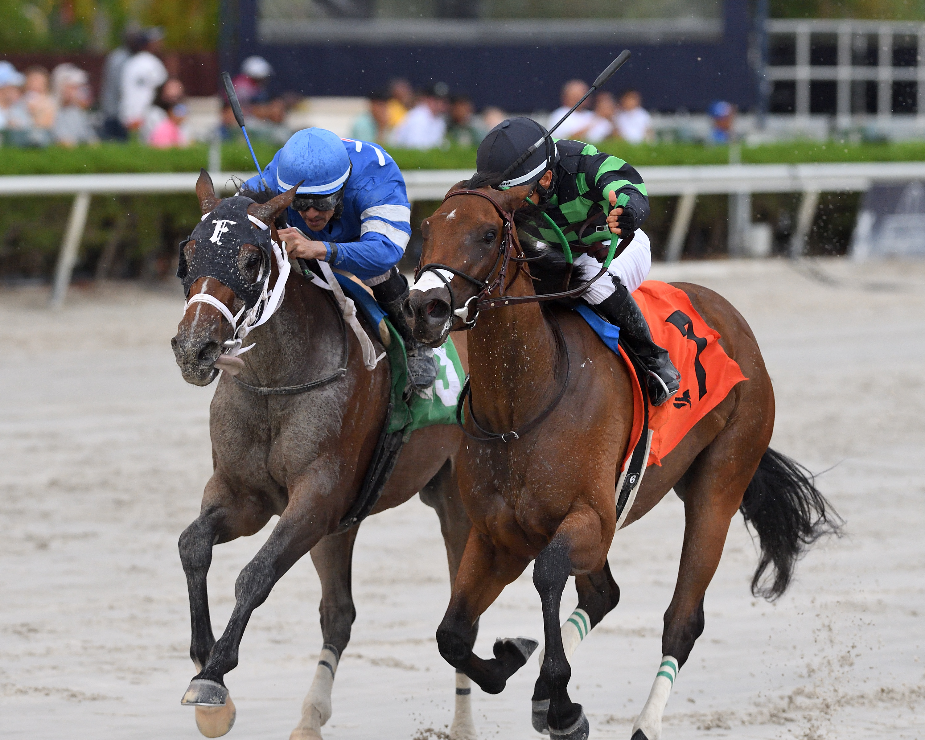 Trust Me enters Azalea off eye-catching comeback win