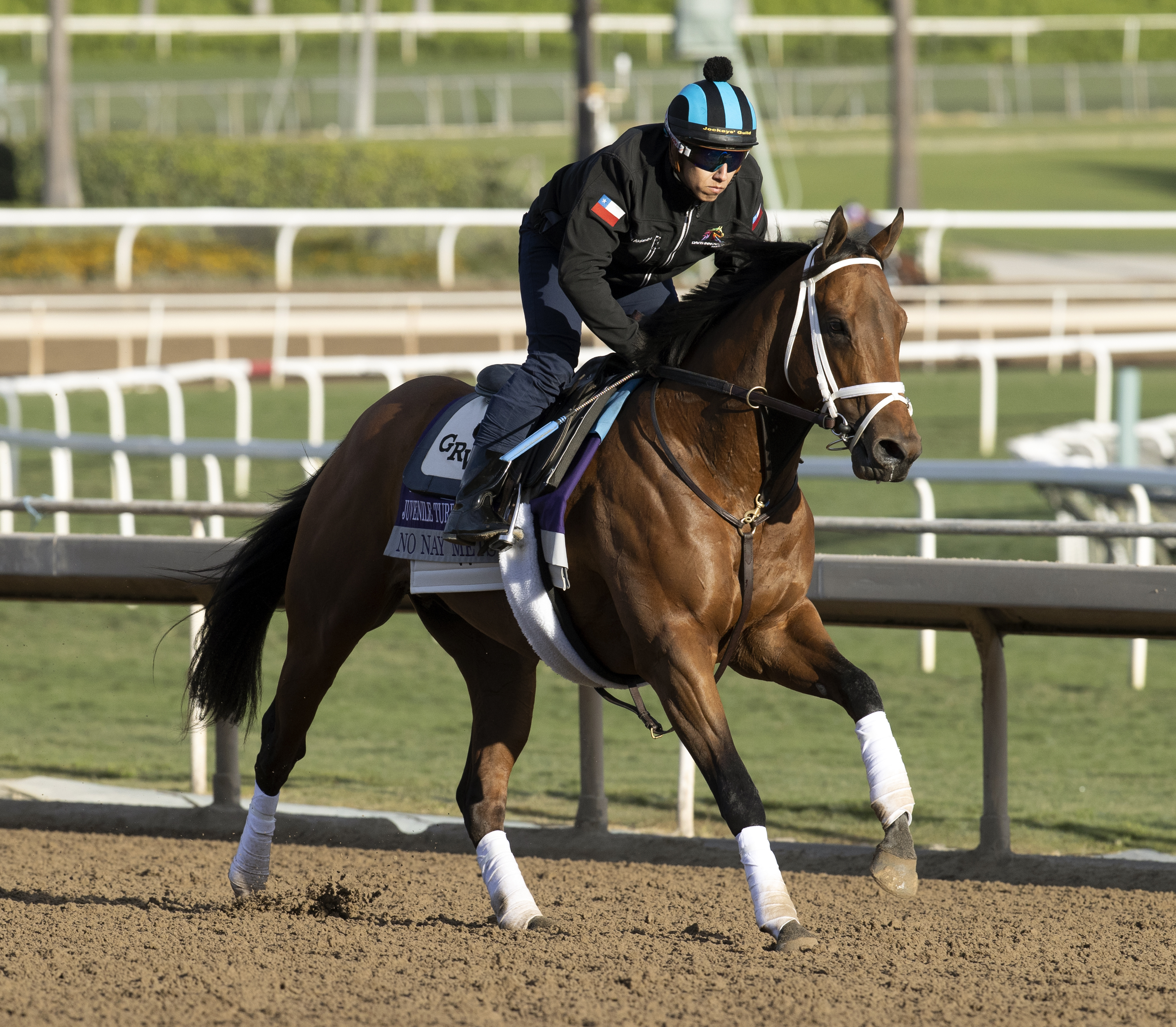 Twilight Gleaming (IRE) Leads All the Way to Win Breeders' Cup Juvenile  Turf Sprint