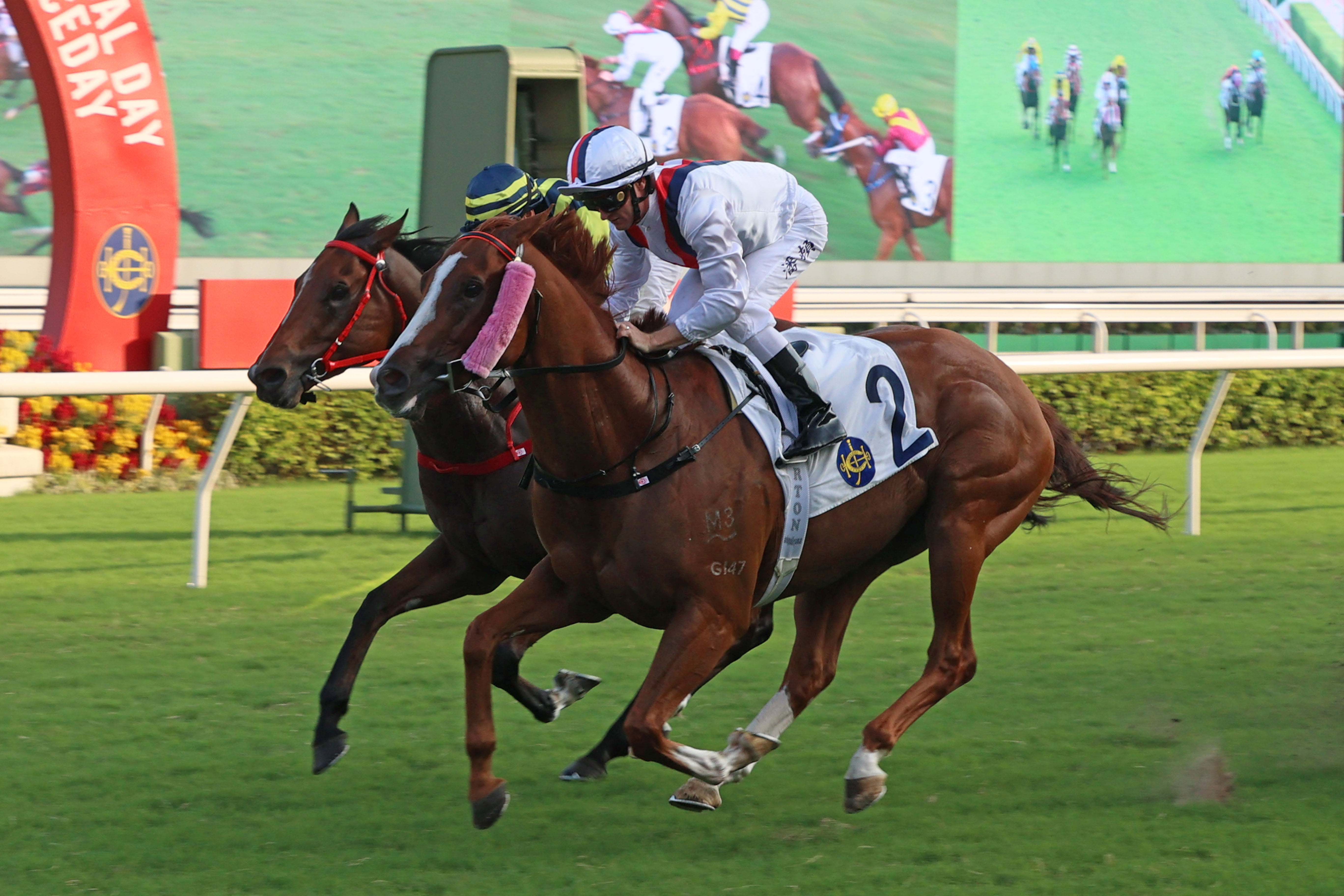 Hkjc horse racing online live streaming