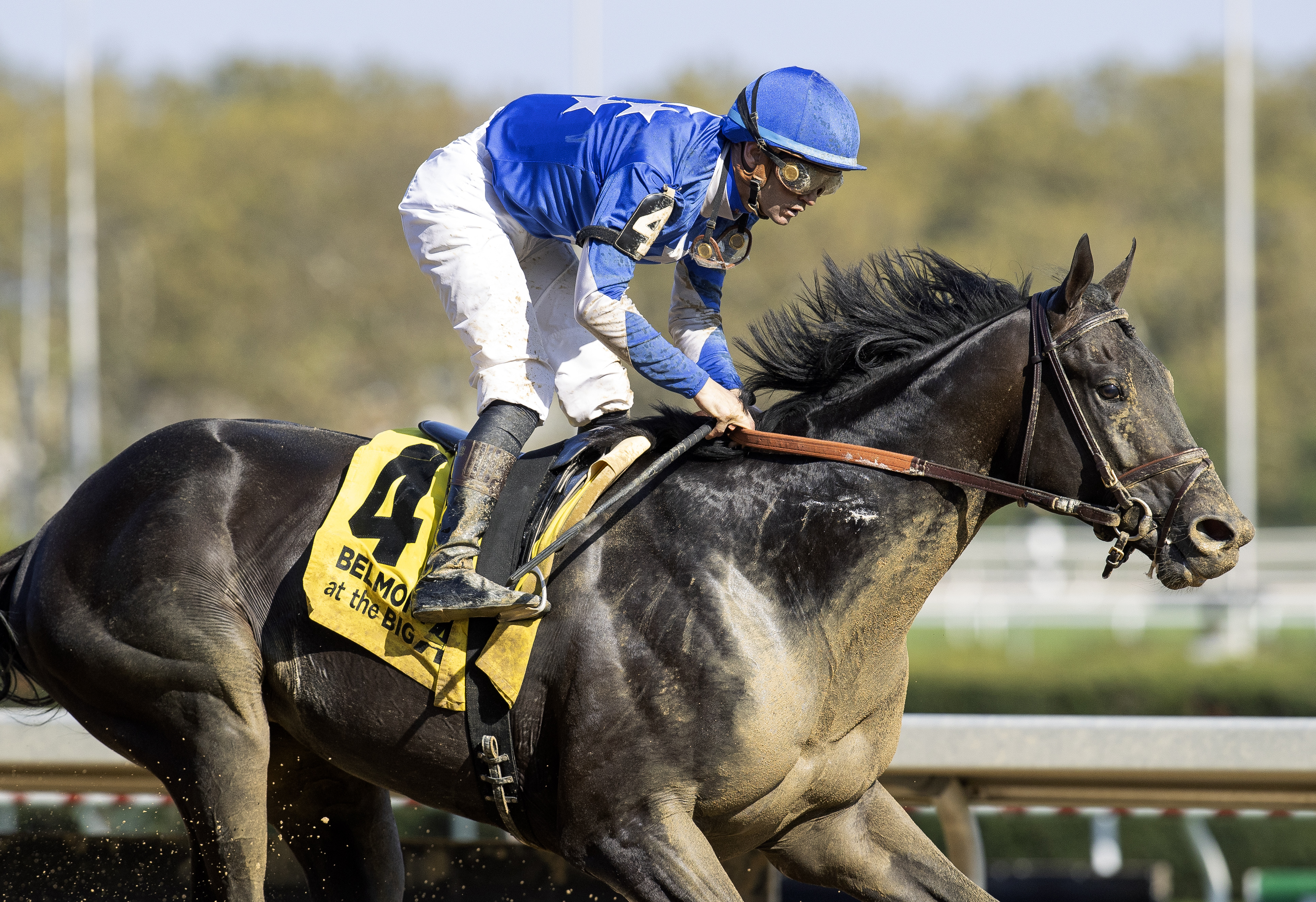 Zandon finds winning form in Woodward Stakes