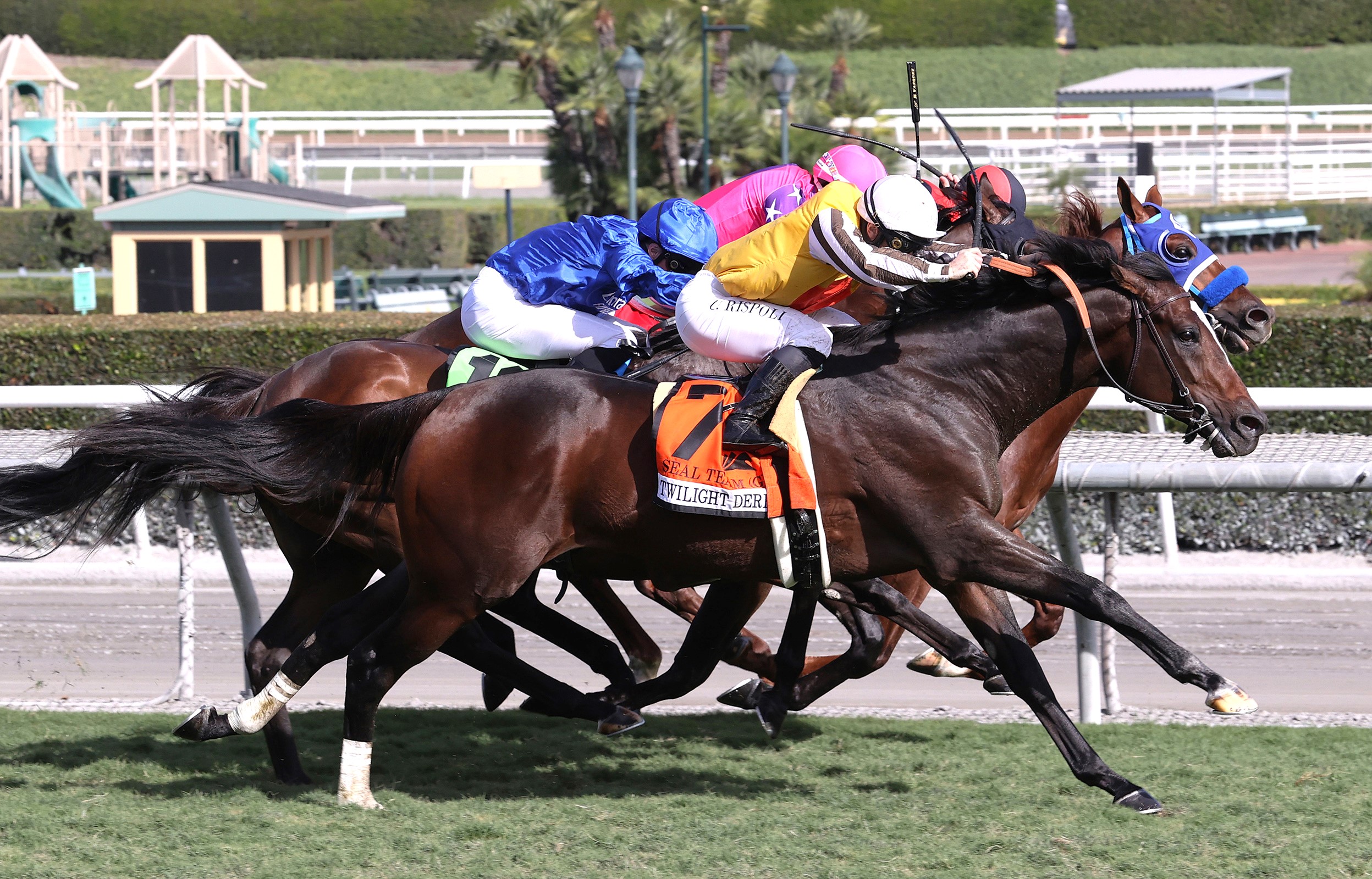 Seal Team Puts In Gutsy Stretch Run To Take G2 Twilight Derby - Horse  Racing News