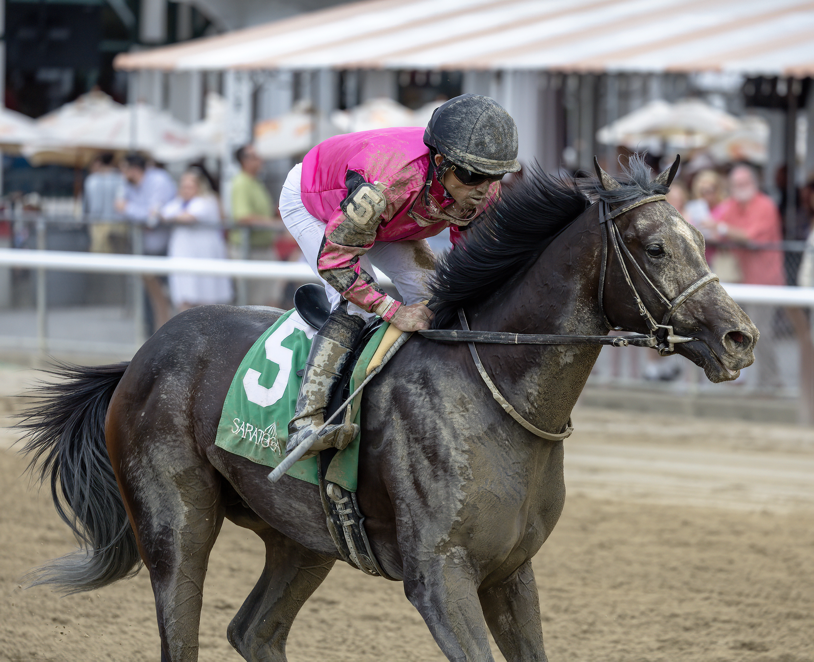 Just a Touch jumps on Kentucky Derby trail in Gotham