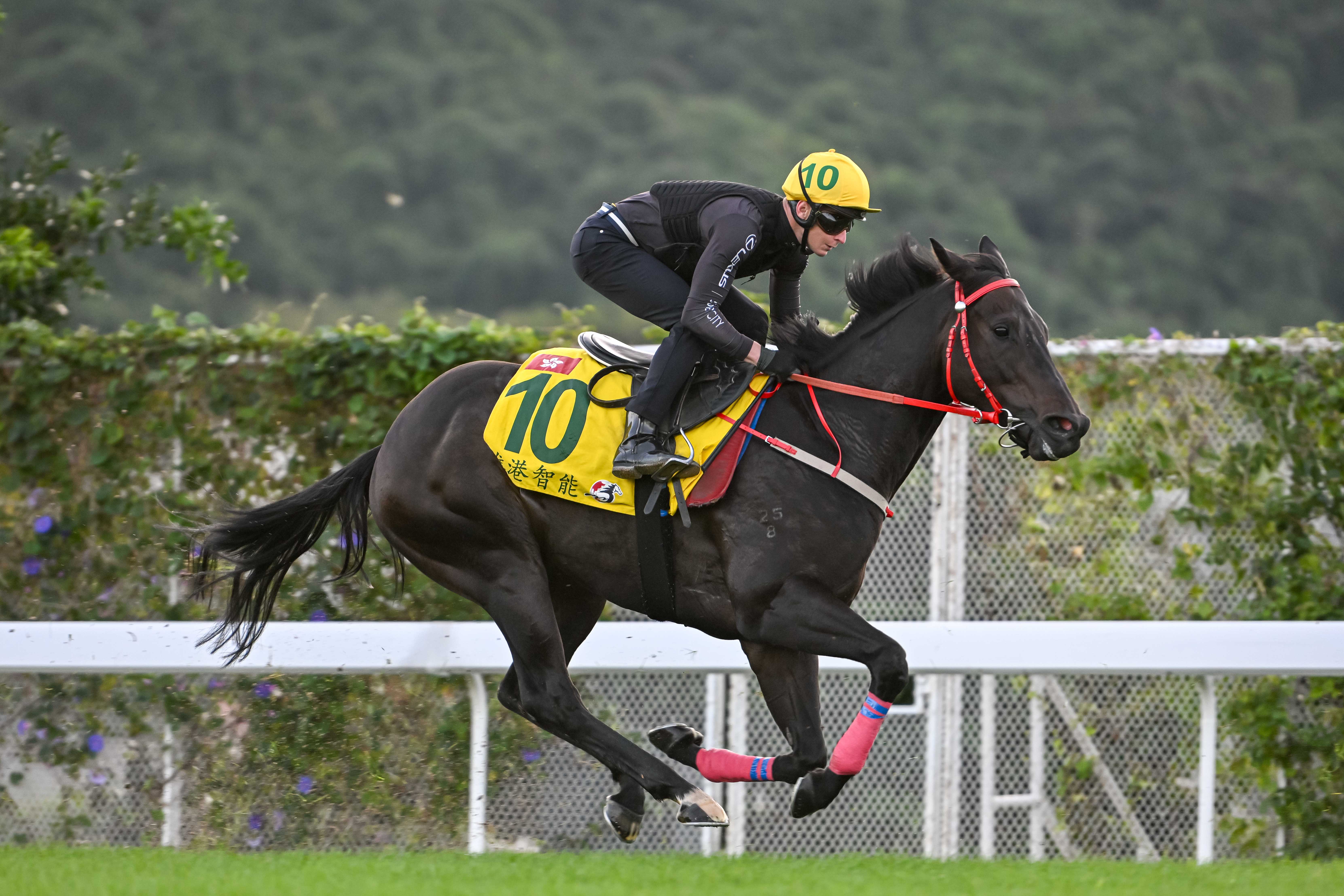 Japan: Mama Cocha leads huge field in Takamatsunomiya Kinen