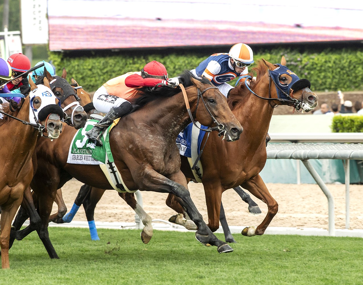 Gold Phoenix earns berth in Eclipse Stakes, but D'Amato weighing options