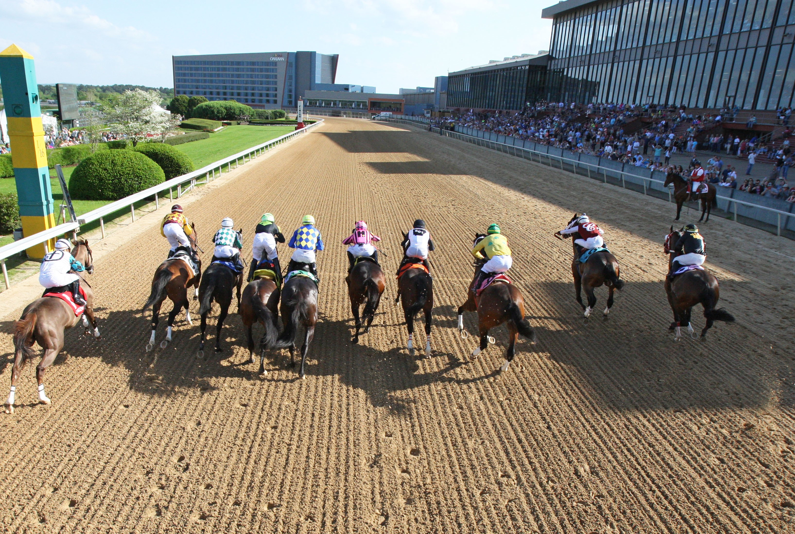 Oaklawn 2025 Racing Schedule Image