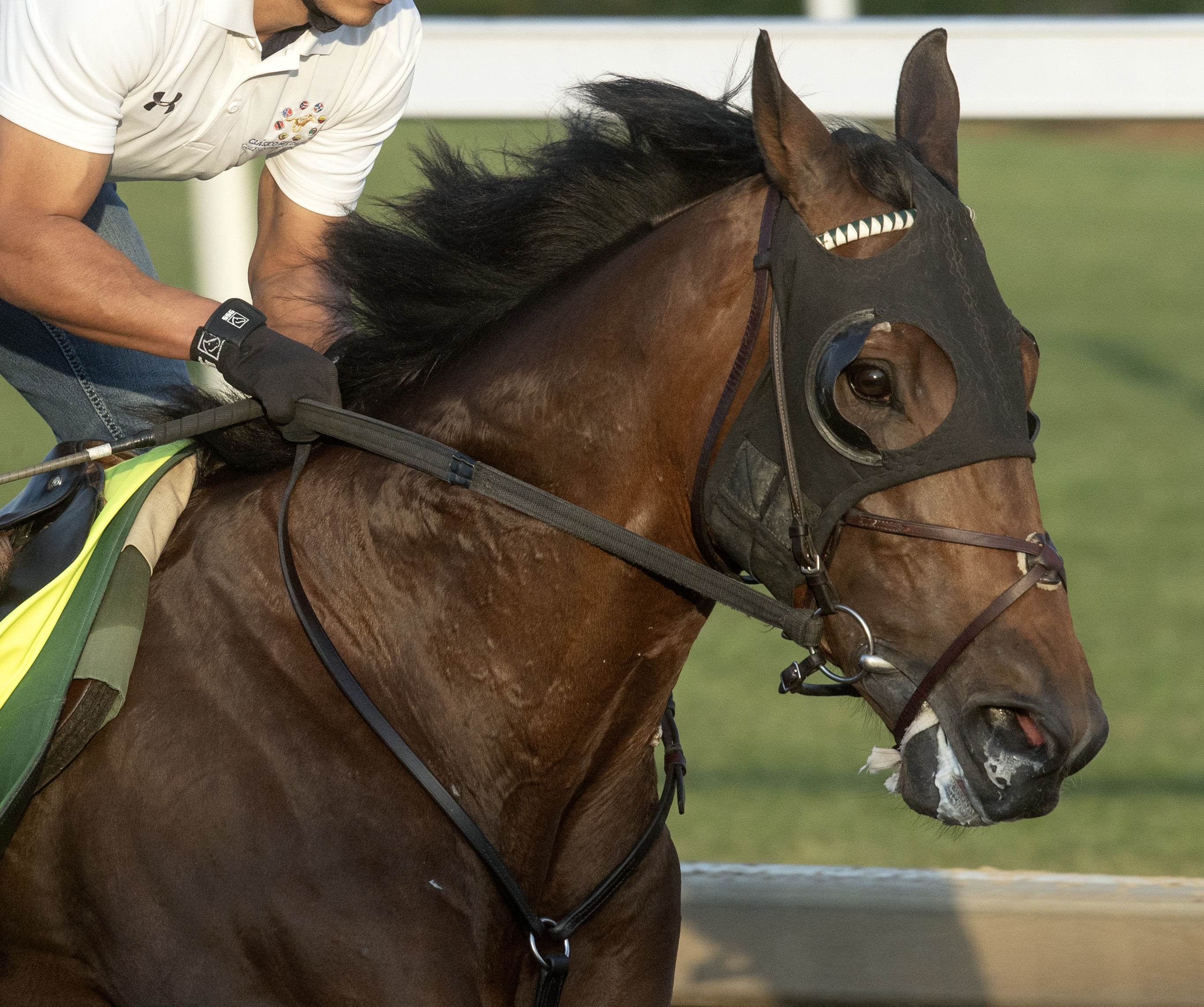 Kentucky Derby Post Positions 2024 Post Positions, Past Winners🌞 Crie