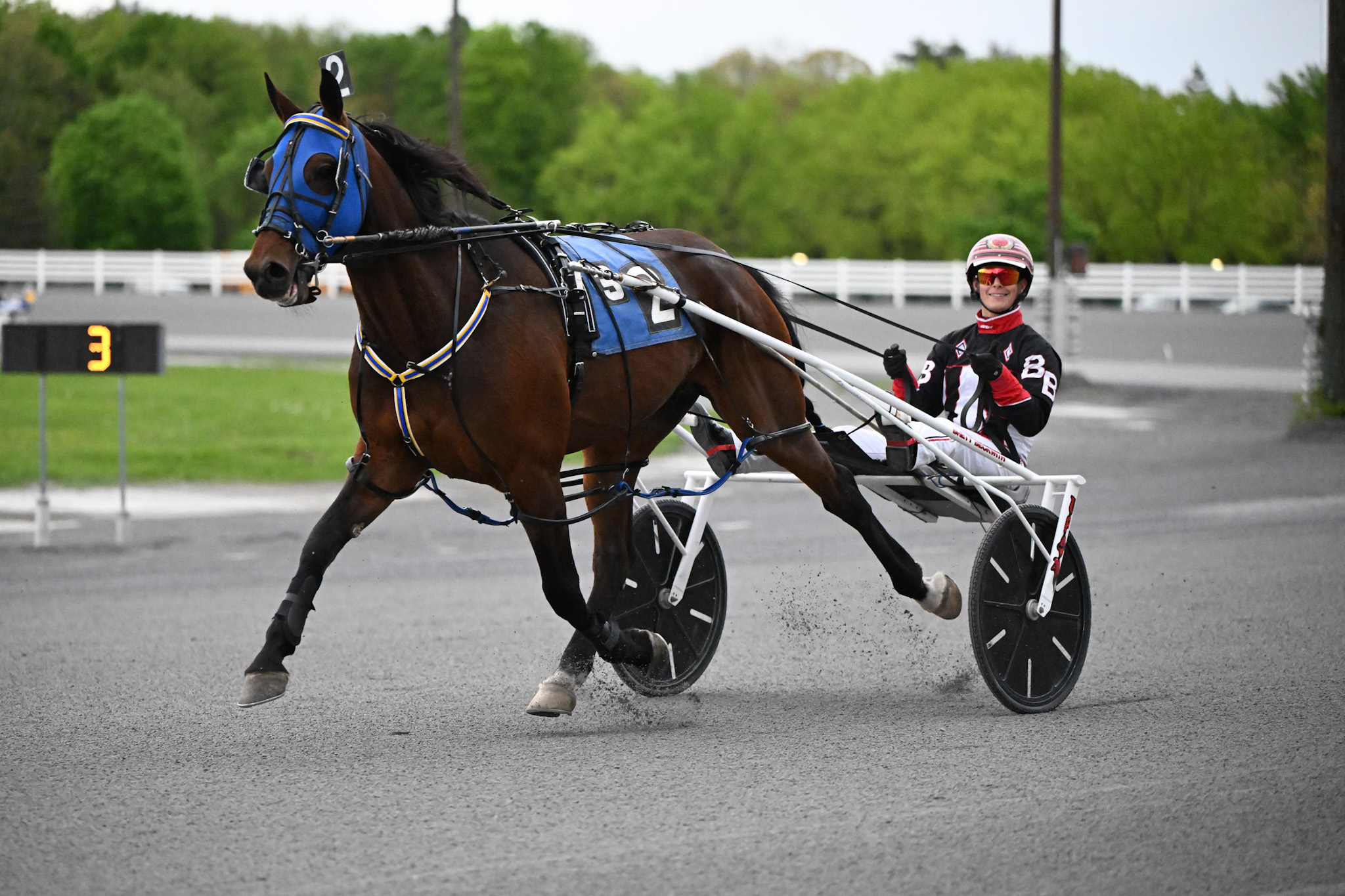 Saratoga Harness: Driver Brett Beckwith injured Sunday