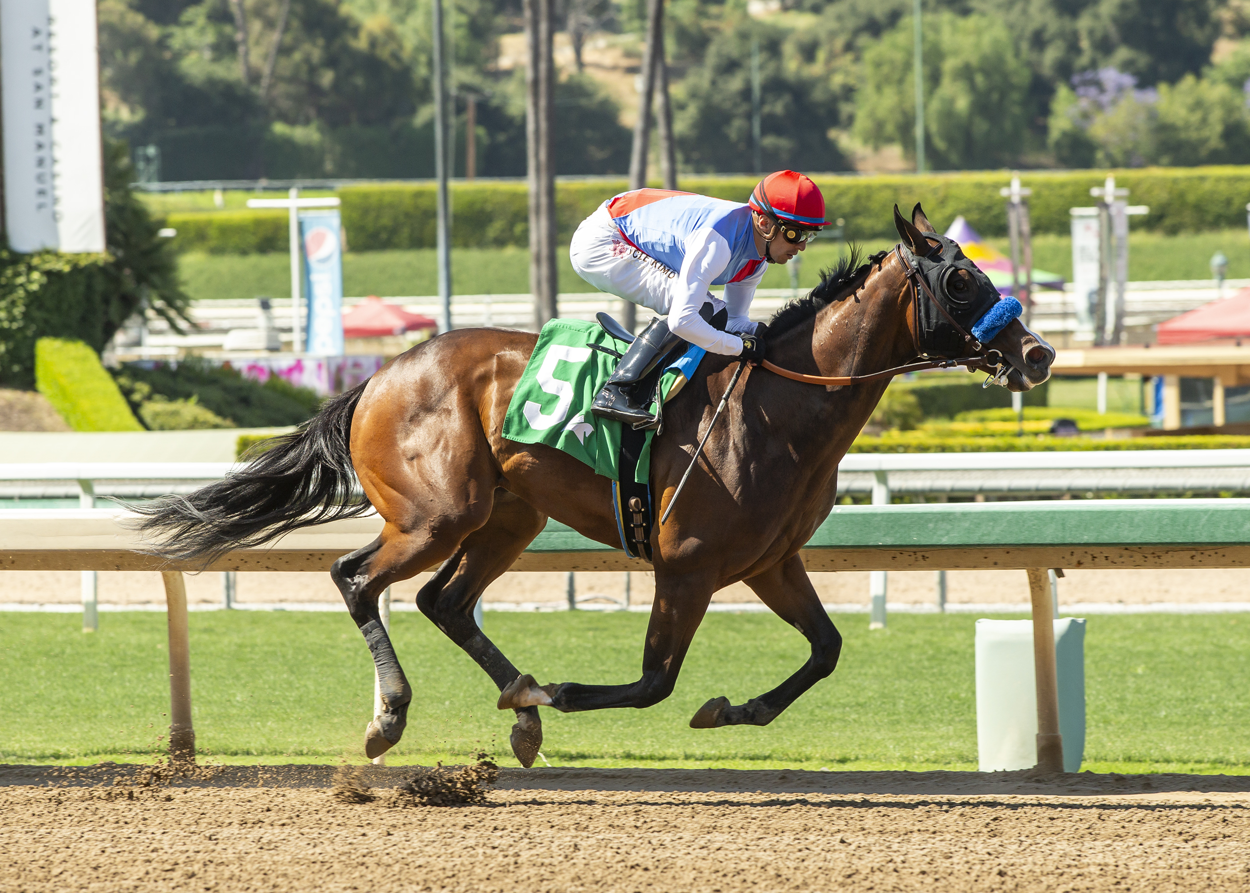 Juveniles to watch at 2024 Del Mar summer meet