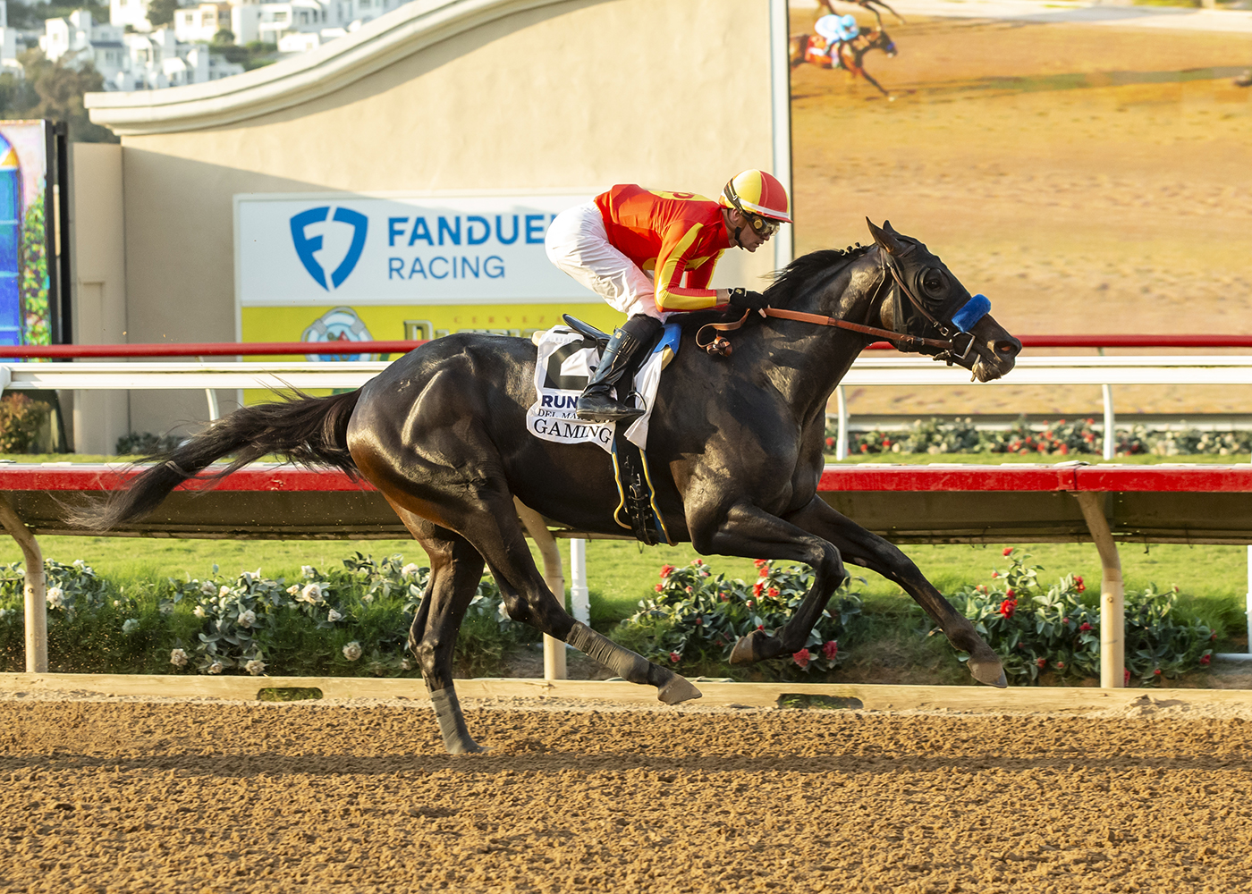 del-mar-thoroughbred-club-picks-horse-racing-schedule-news