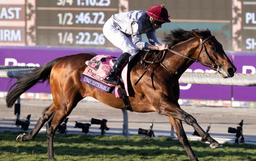 Breeders' Cup Entries, Picks, Results & News | Daily Racing Form
