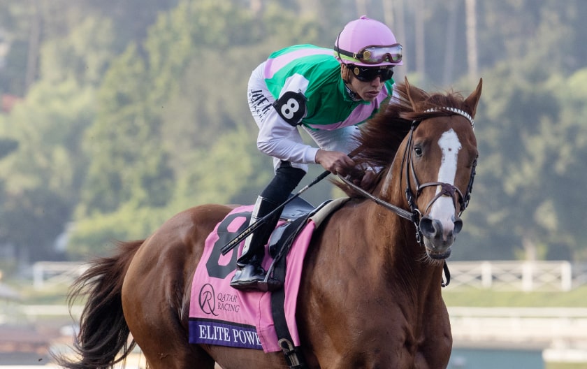 Breeders' Cup Entries, Picks, Results & News | Daily Racing Form