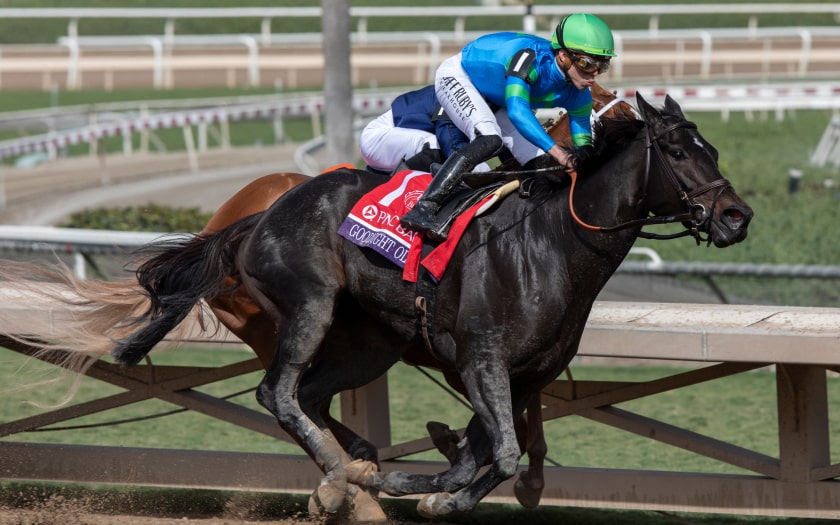Breeders' Cup Entries, Picks, Results & News | Daily Racing Form