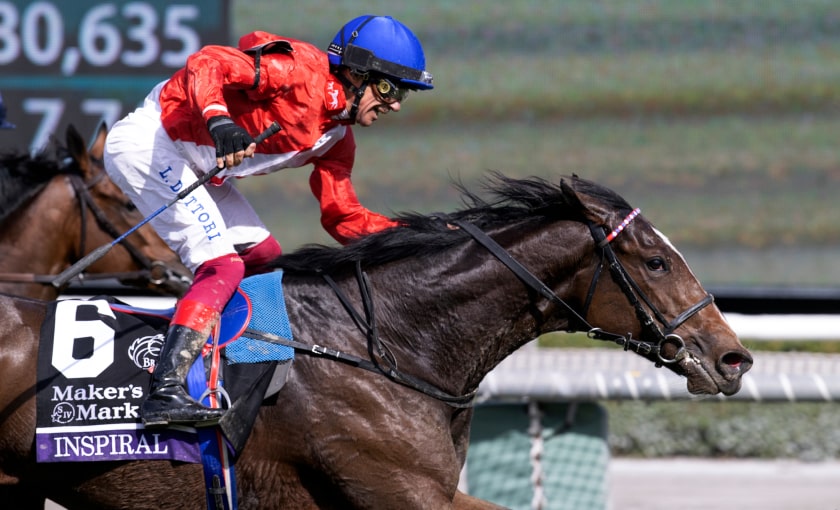Breeders' Cup Entries, Picks, Results & News | Daily Racing Form