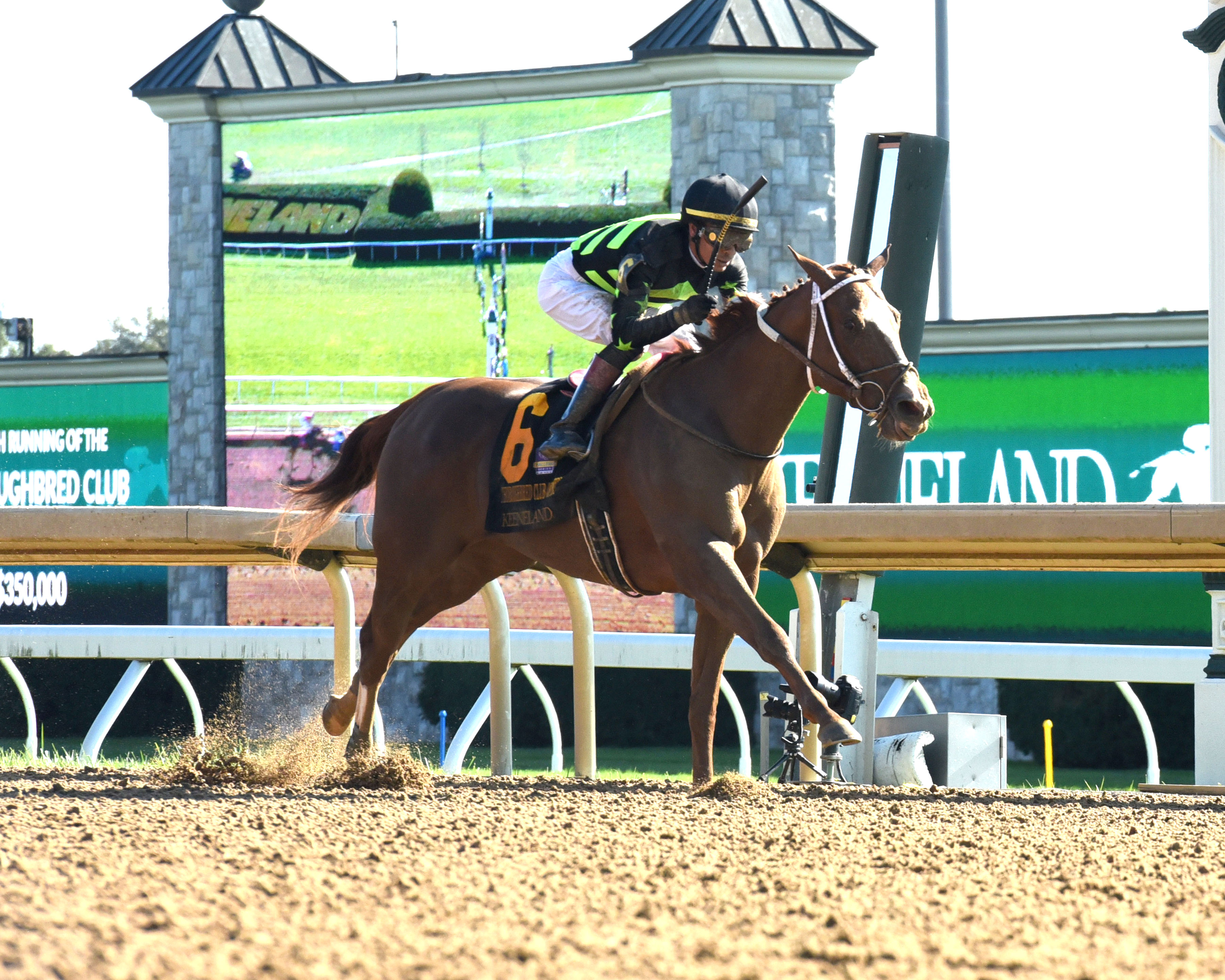 Tca Racing Zeitlos rallies up the rail to take TCA Stakes
