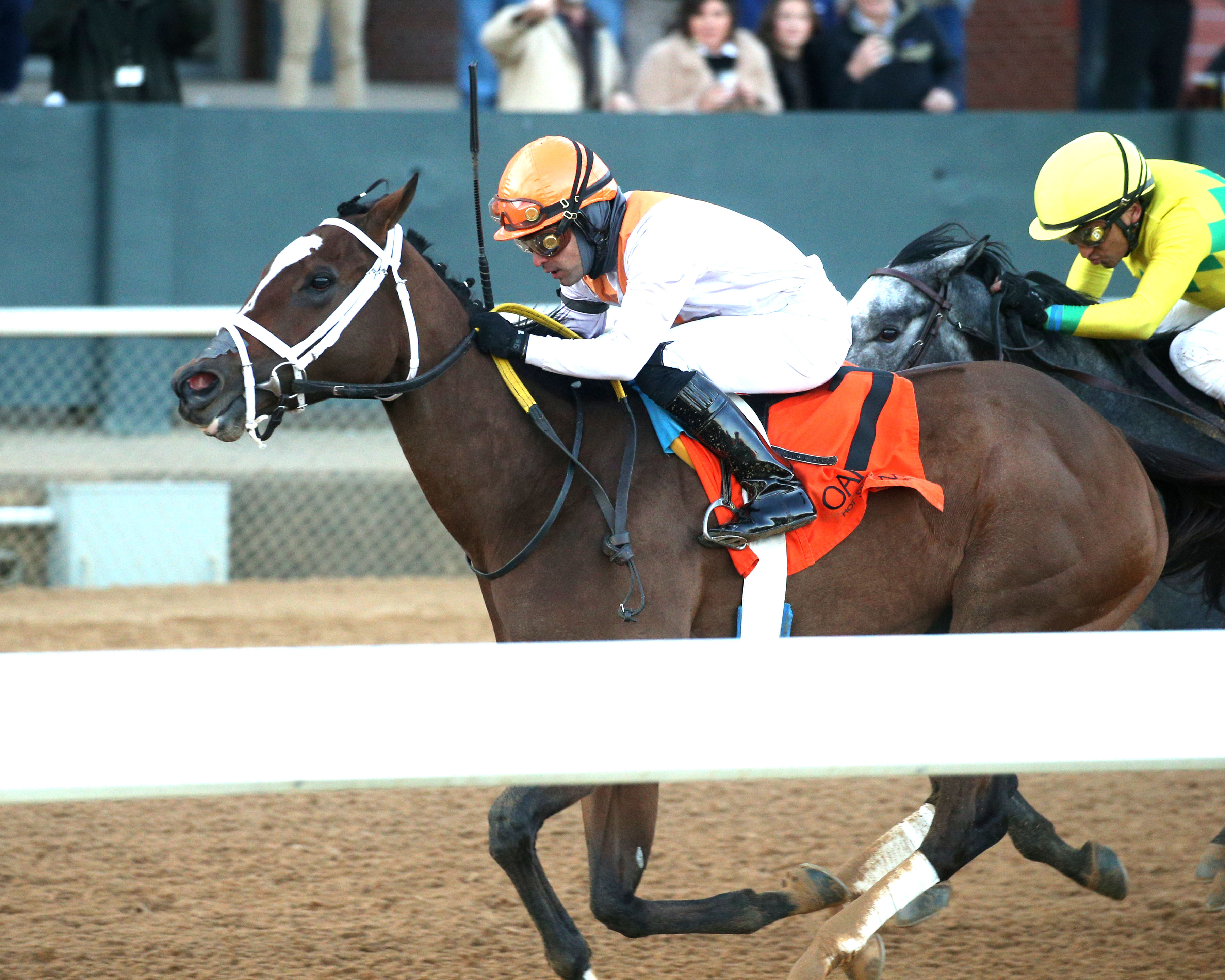 Spirit Wind may not be done racing at Oaklawn Park