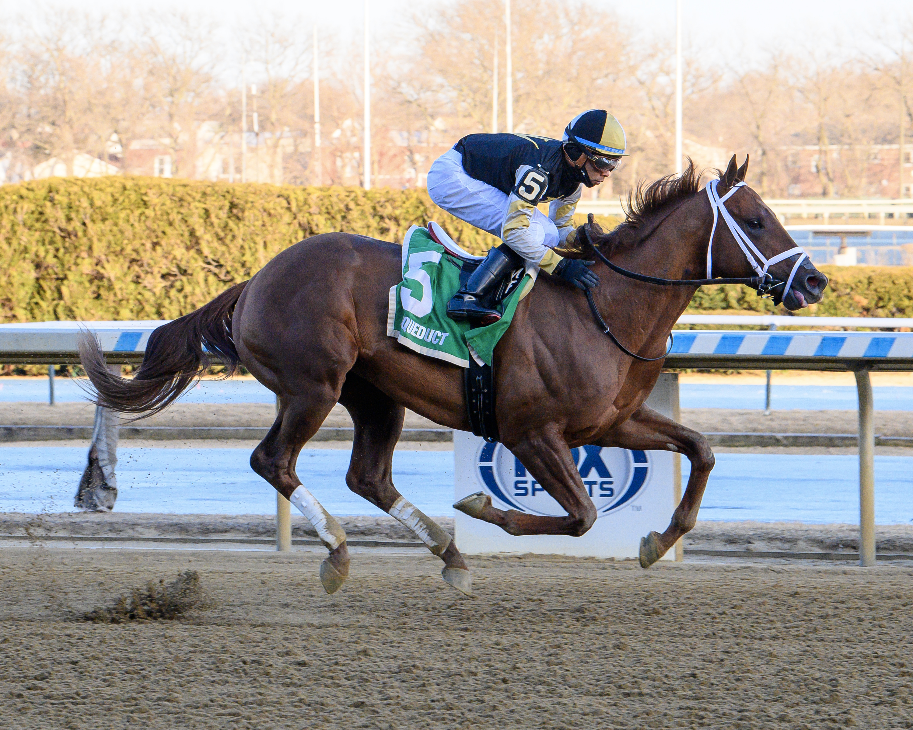 Colloquial returns to work tab after big Beyer