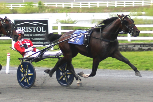 Plainridge: Melander-trained exacta in Battle of Bunker Hill Trot