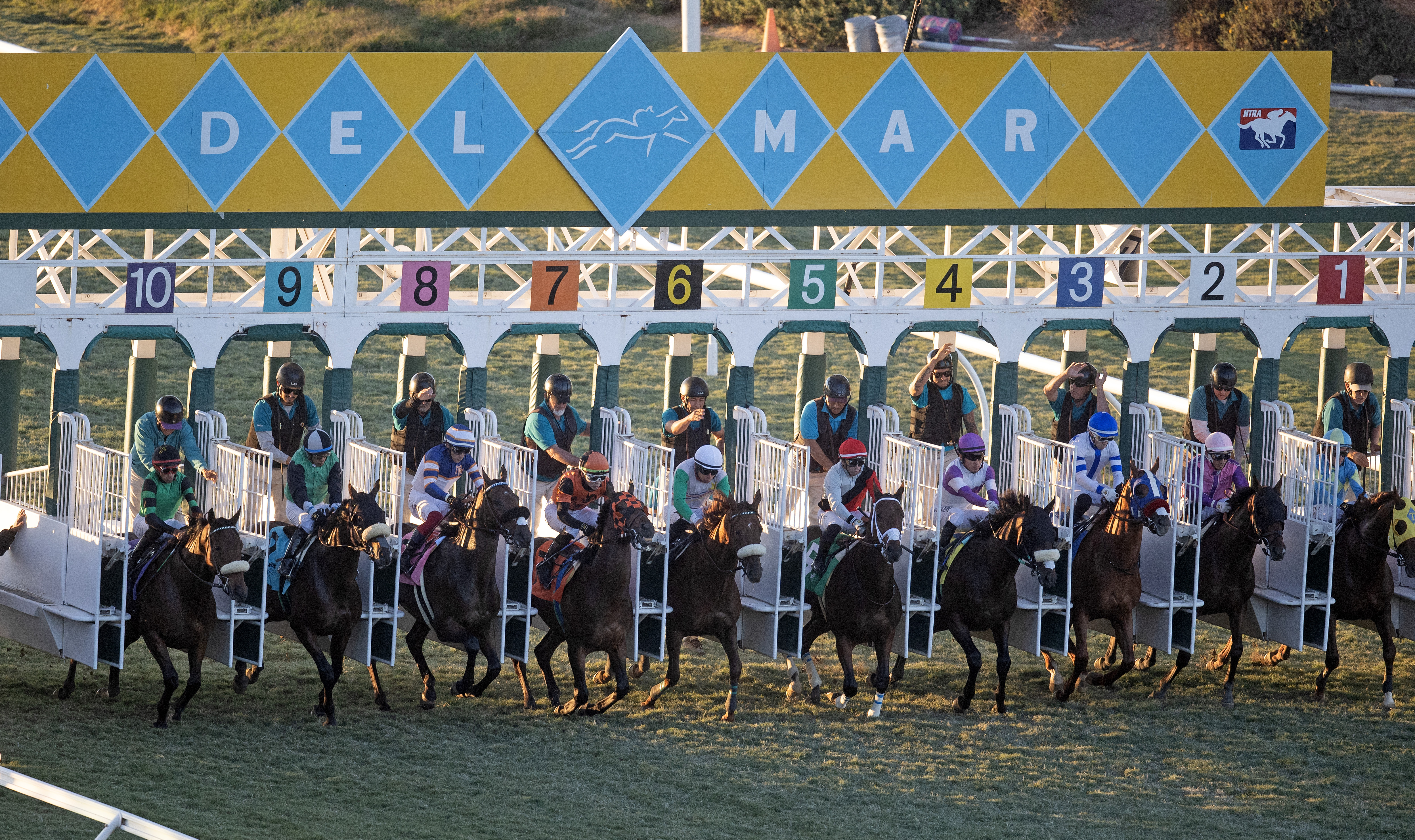 DRF's Horse Racing Playbook for Sunday, November 30, 2025