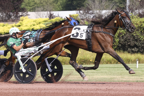 Pocono: World record lowered by Warrawee Michelle in Sebastian K Invitational