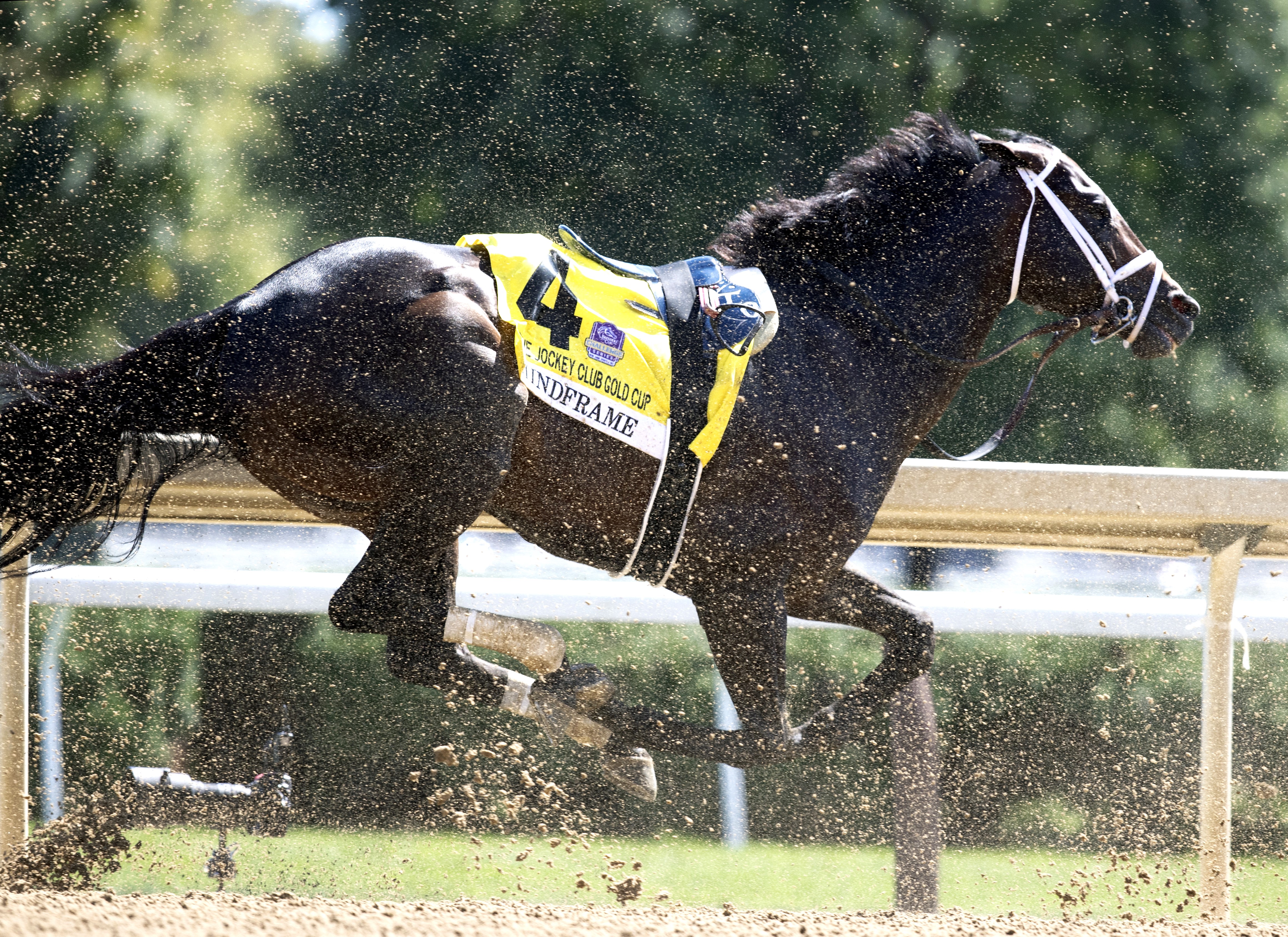 Mind Frame Without Rider Breeders' Cup Classic next up for Mindframe, Antiquarian