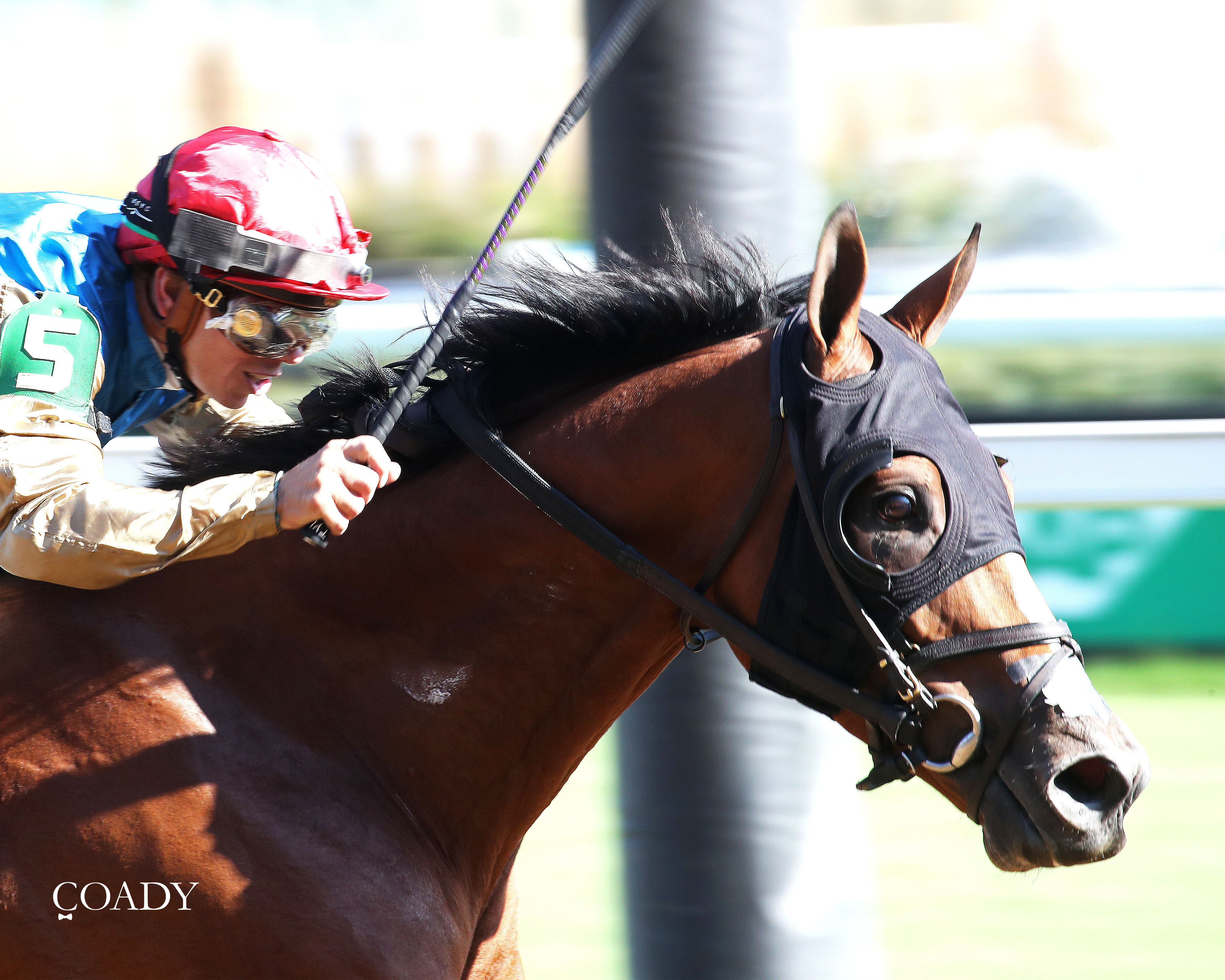 Tumbarumba catches Most Wanted in Ack Ack Stakes