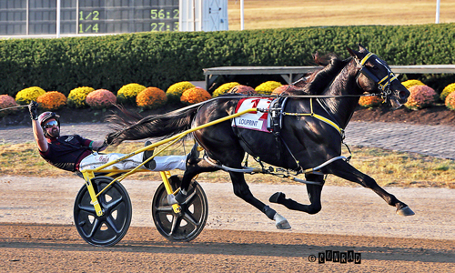 Delaware County Fair: Louprint cruises in Little Brown Jug elim, final