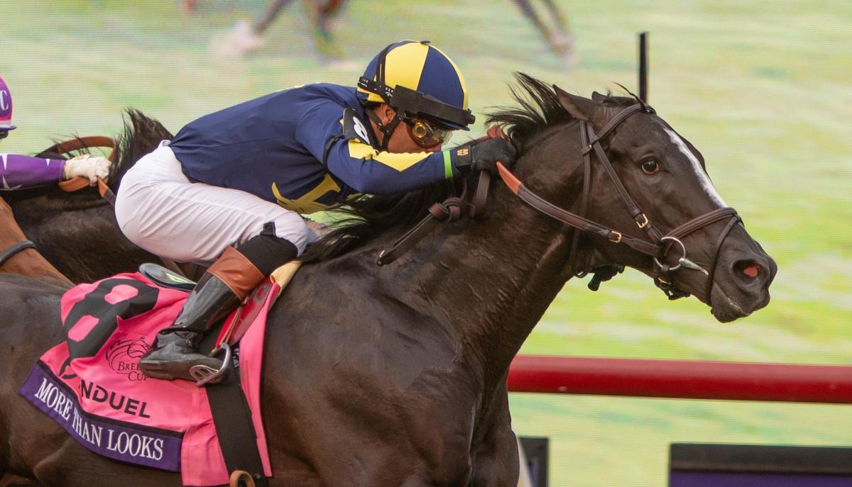 Breeders' Cup Entries, Picks, Results & News | Daily Racing Form