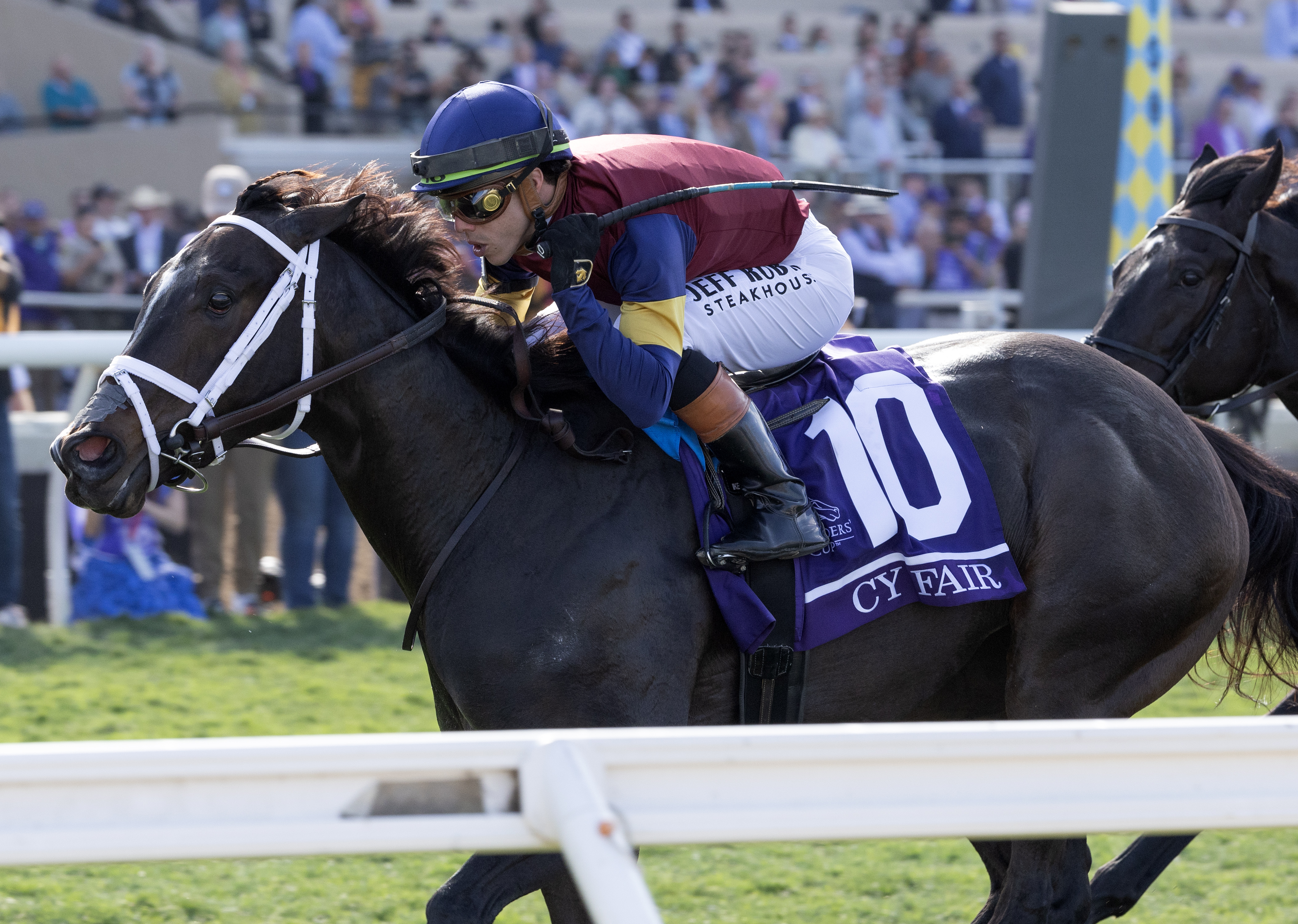 Juvenile Turf Sprint