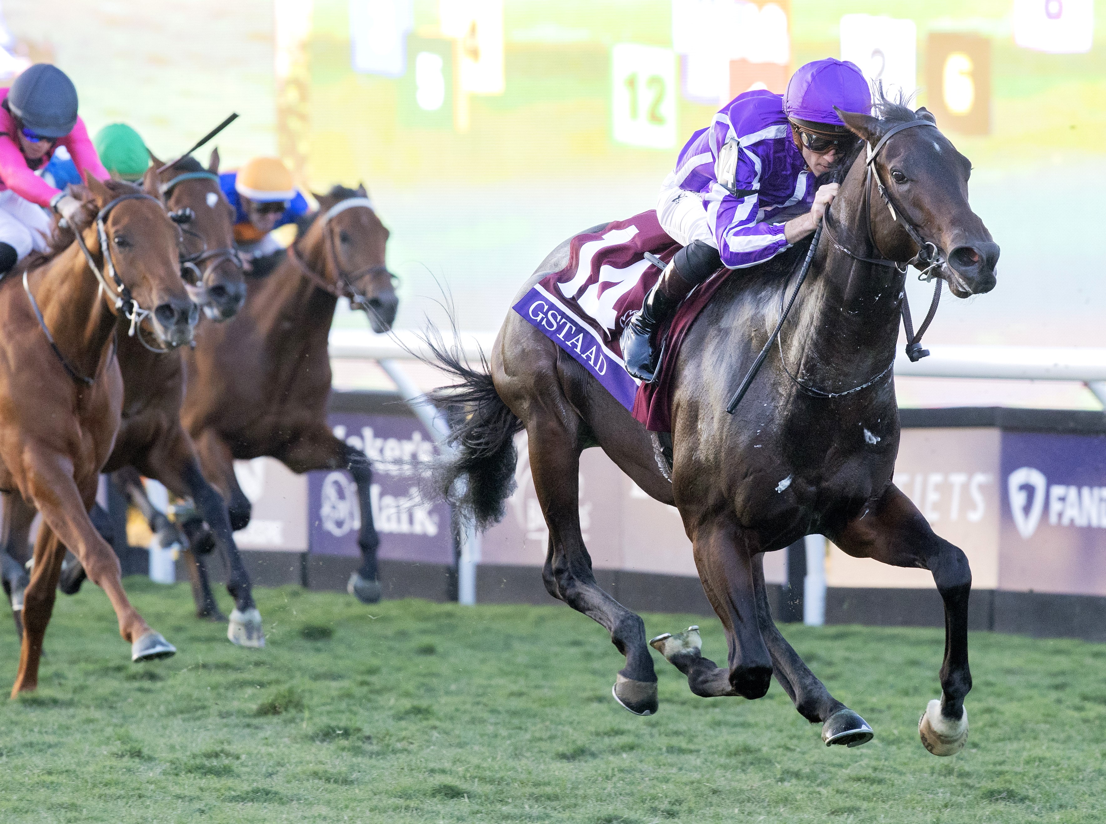 Juvenile Turf