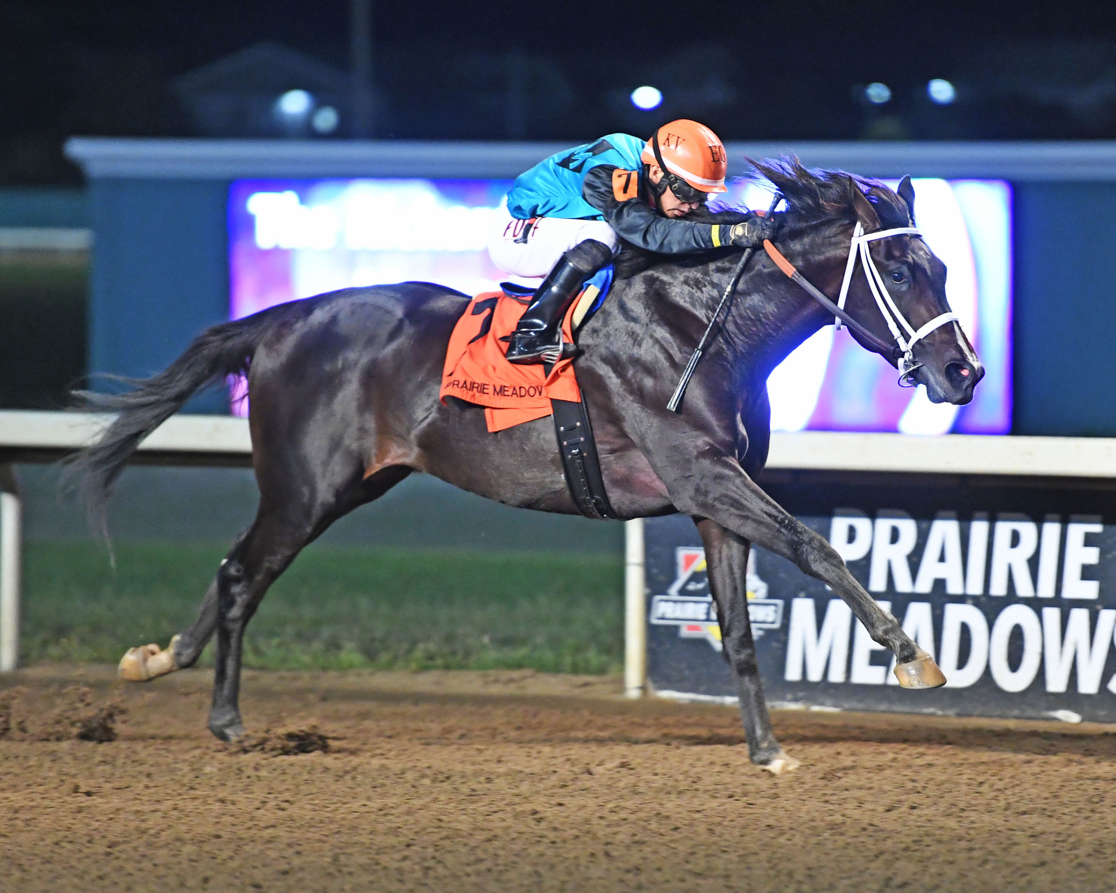 Prairie meadows | Horse Racing Track News | DRF