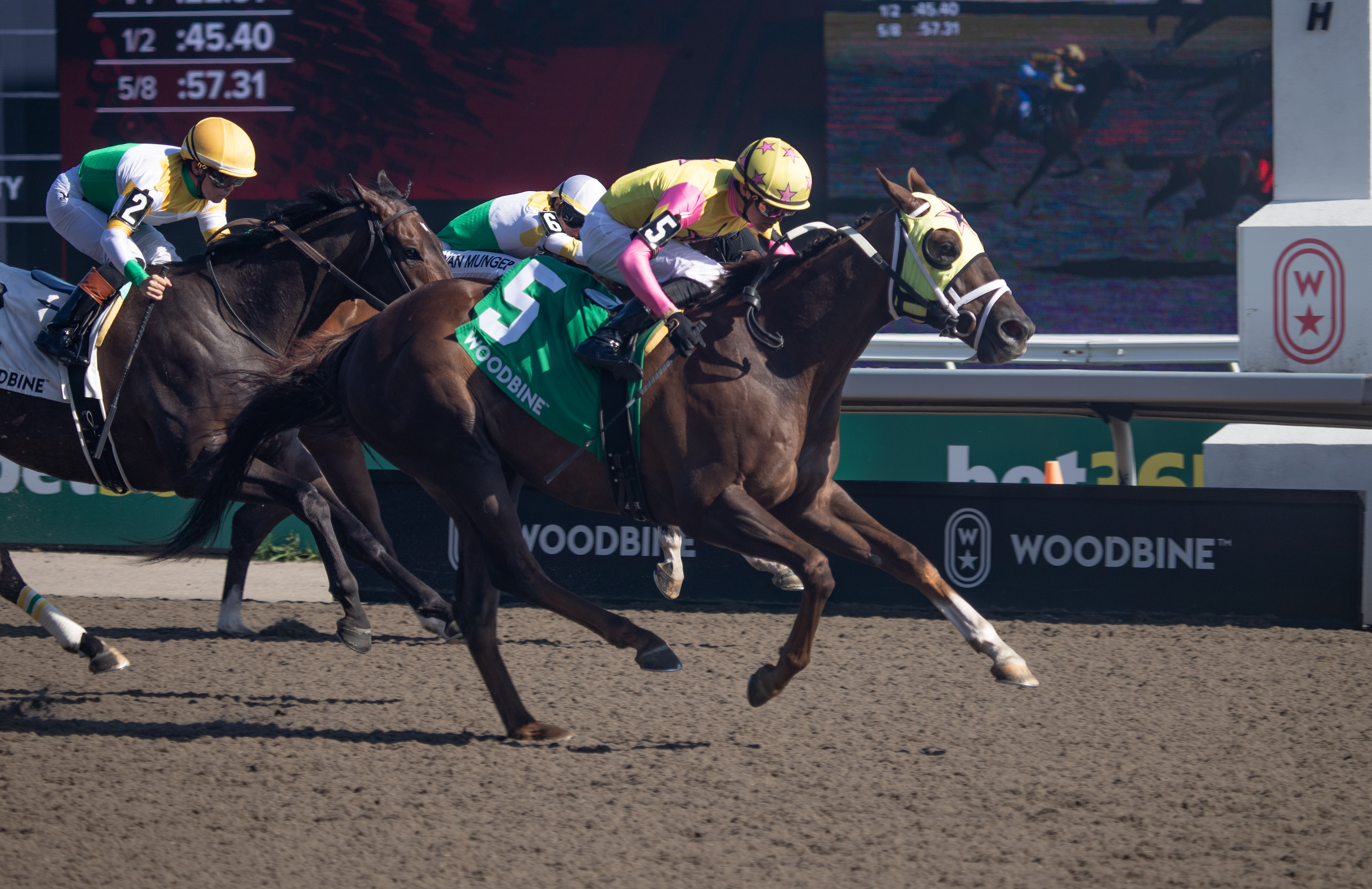 ビジネス・経済 HIT WIN VICTORY II OF HORSE RACE Possiblemente's Jacques Cartier victory sparks nice Pick 3 payoff