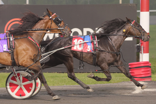 Woodbine Mohawk Park: Touchedbyanangel defeats Strobe Lite in OSS