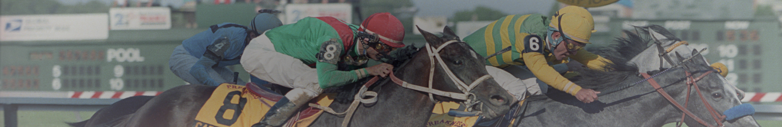 Haskell Stakes