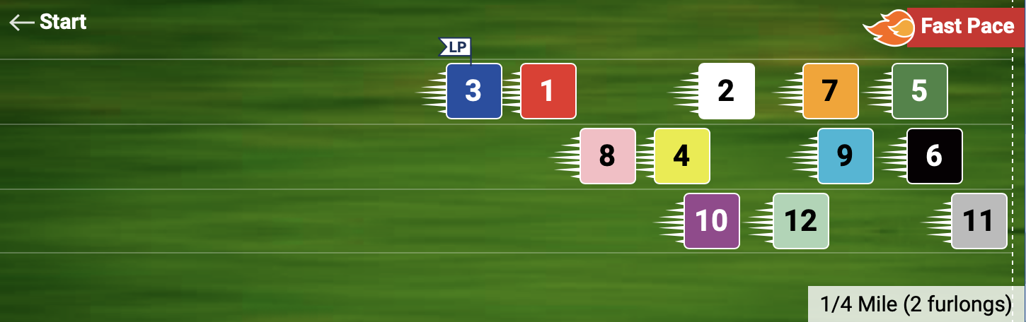 Pace Projector
