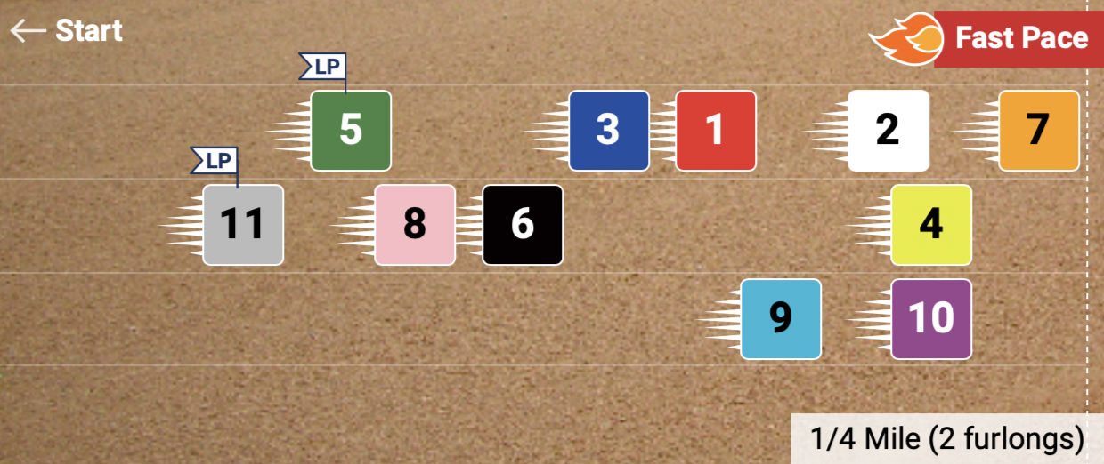 Pace Projector