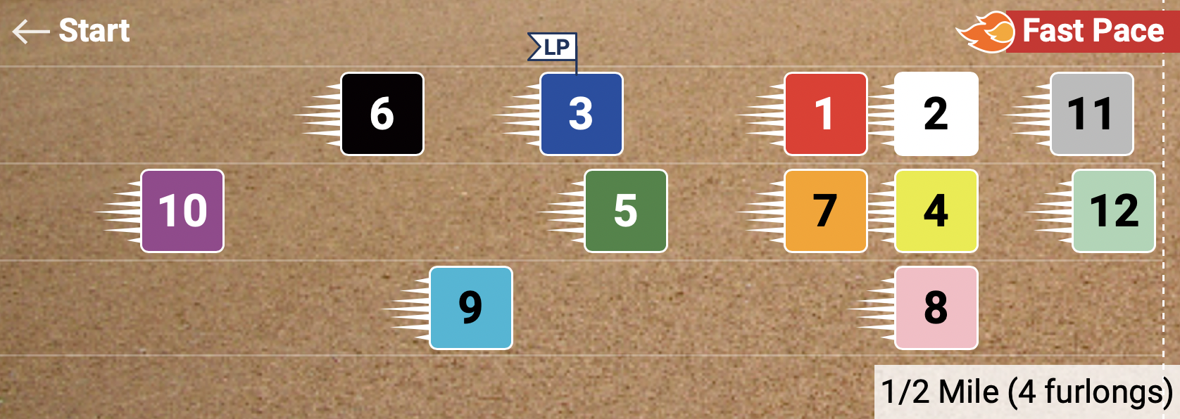 Pace Projector
