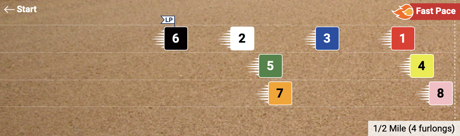 Pace Projector