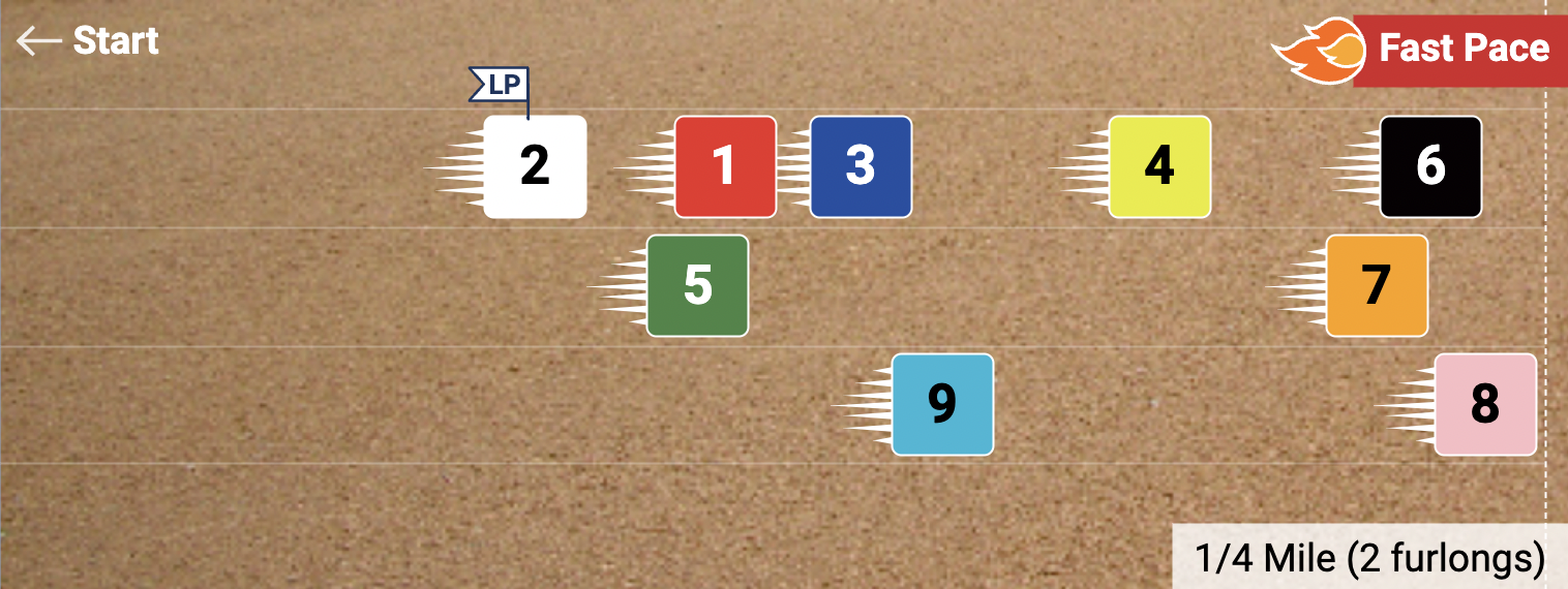 Pace Projector