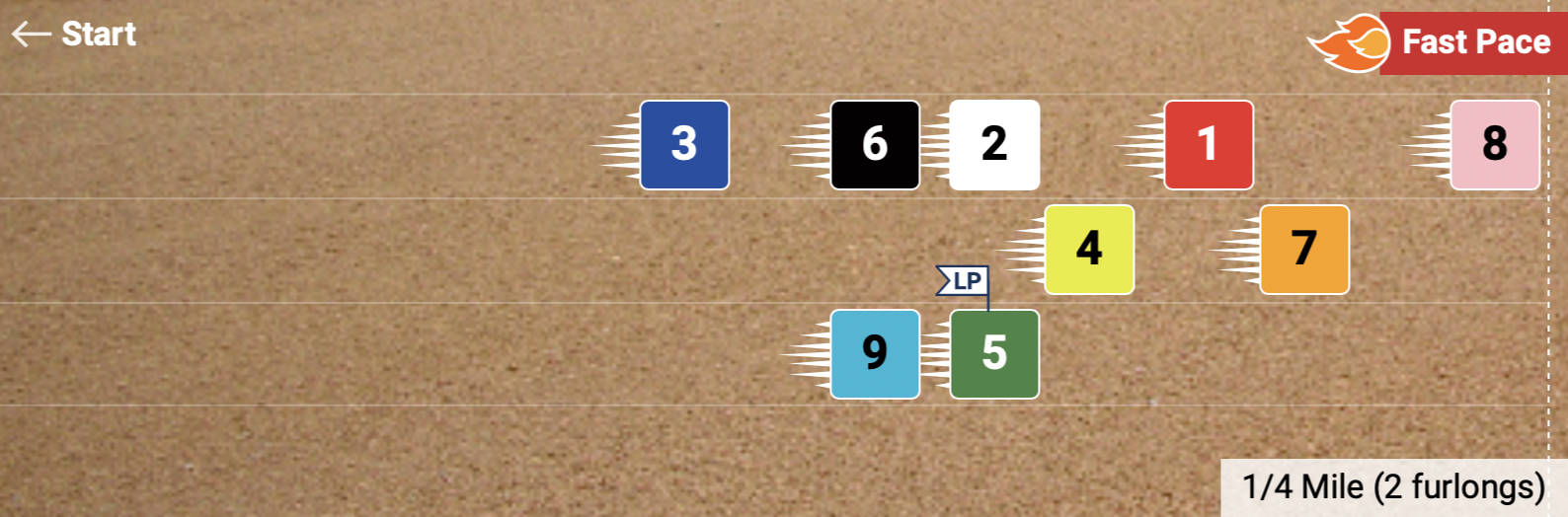 Pace Projector