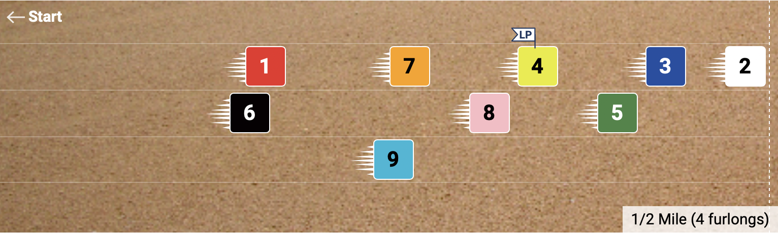 Pace Projector