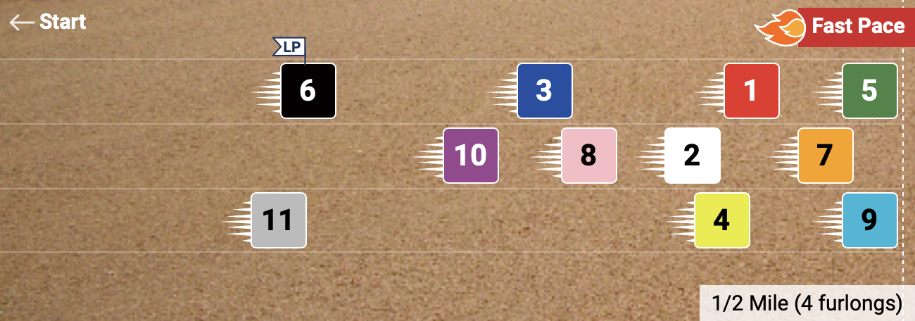 Pace Projector