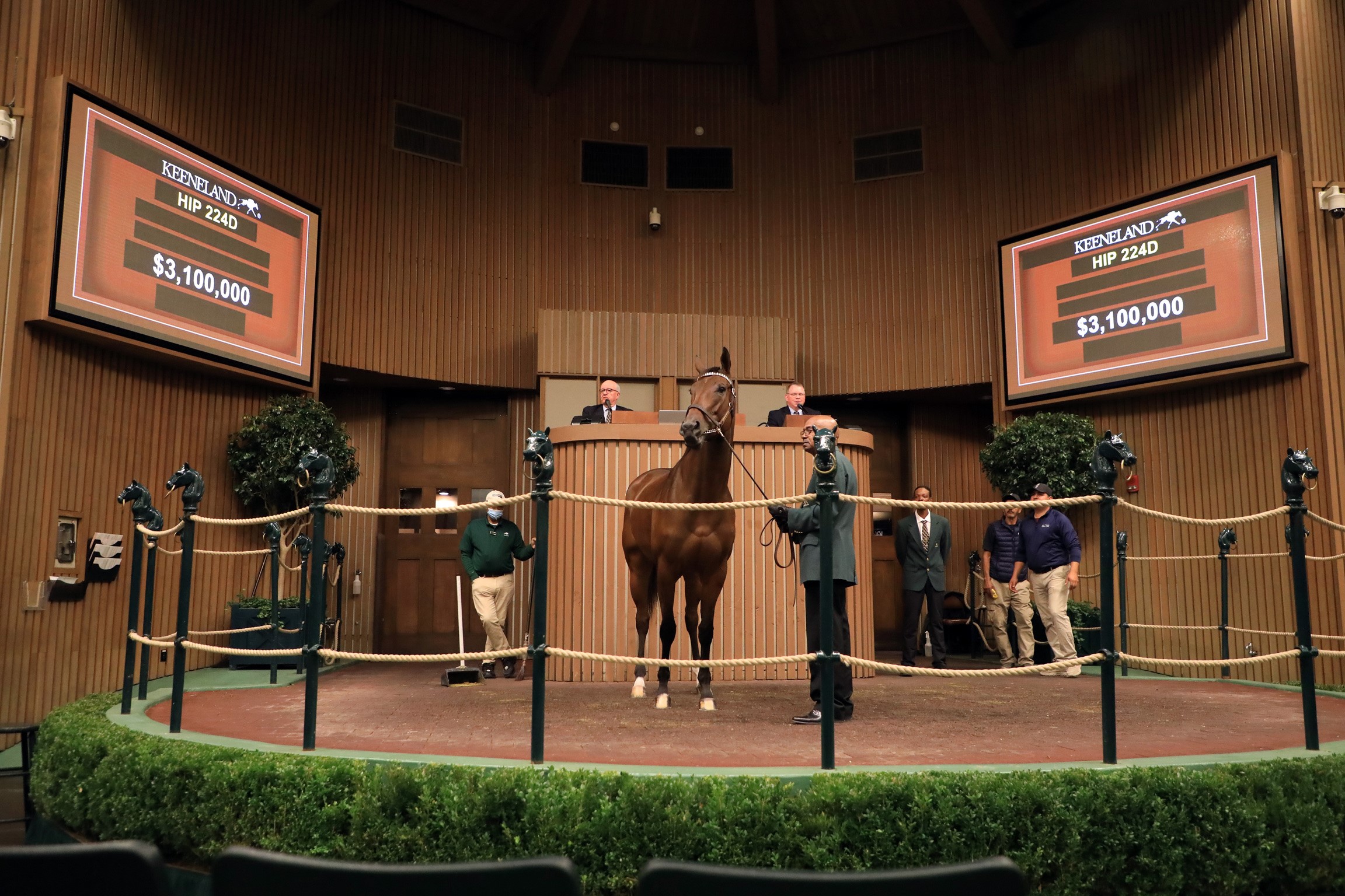Paris Lights/Keeneland November
