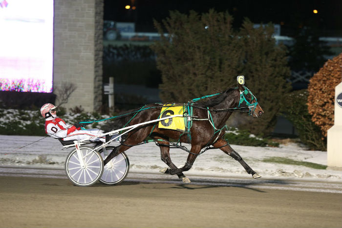 Envious Hanover