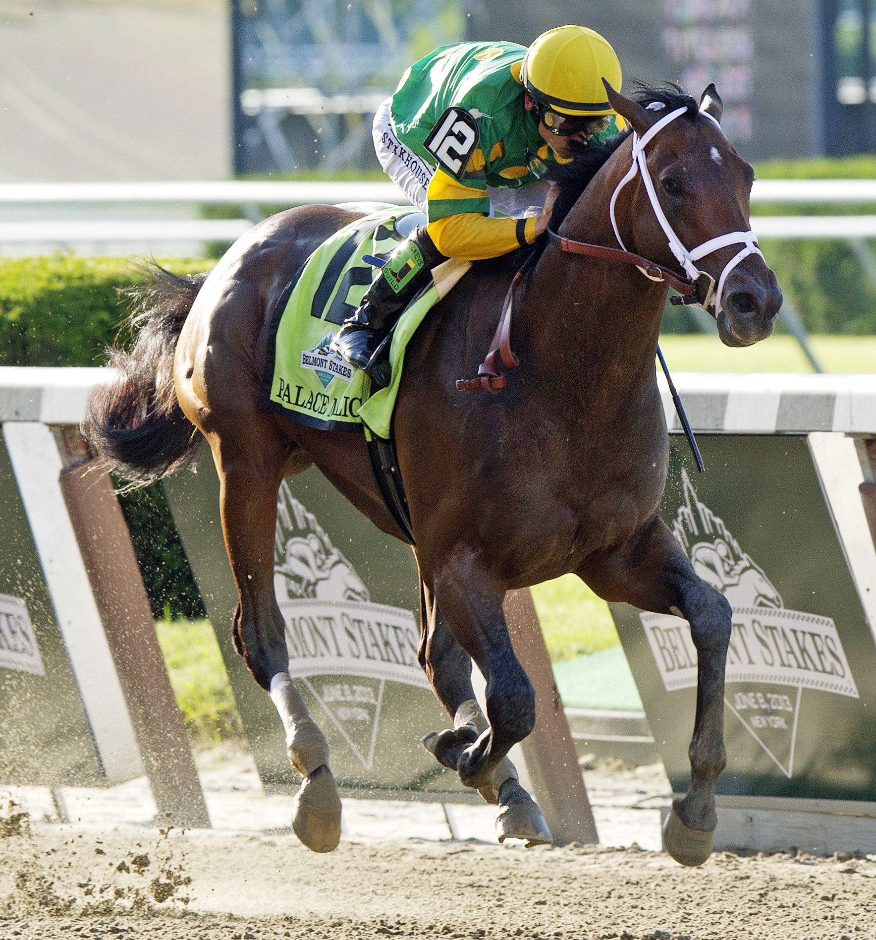 Palace Malice, 145th Belmont Stakes