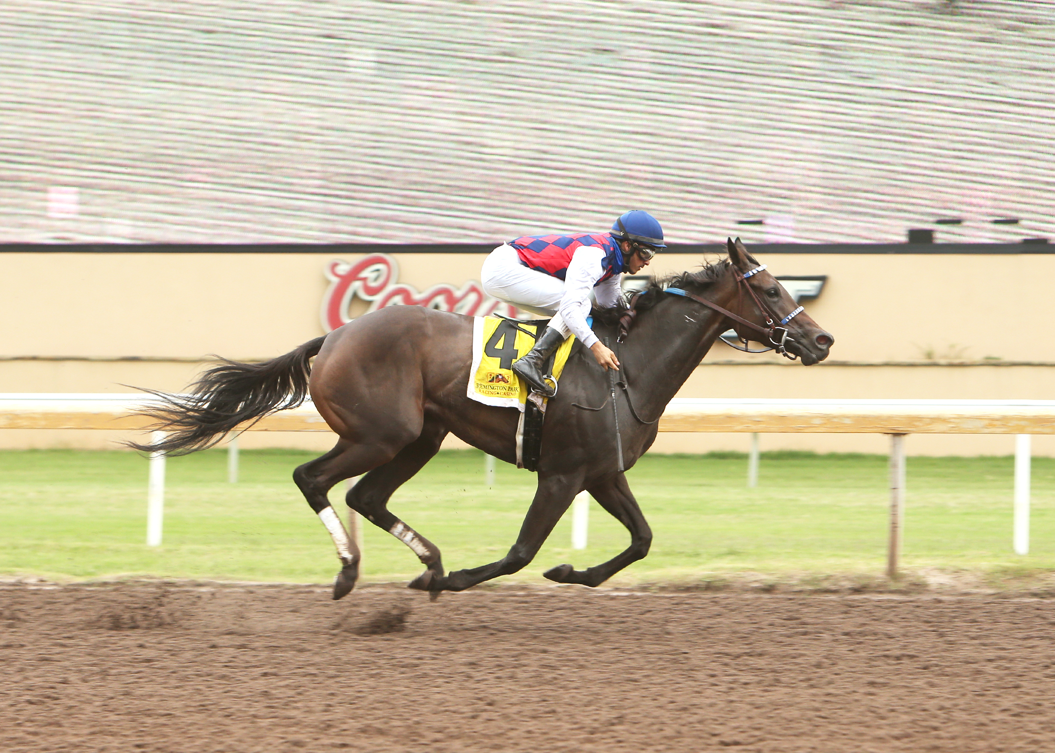 Envoutante/Remington Oaks