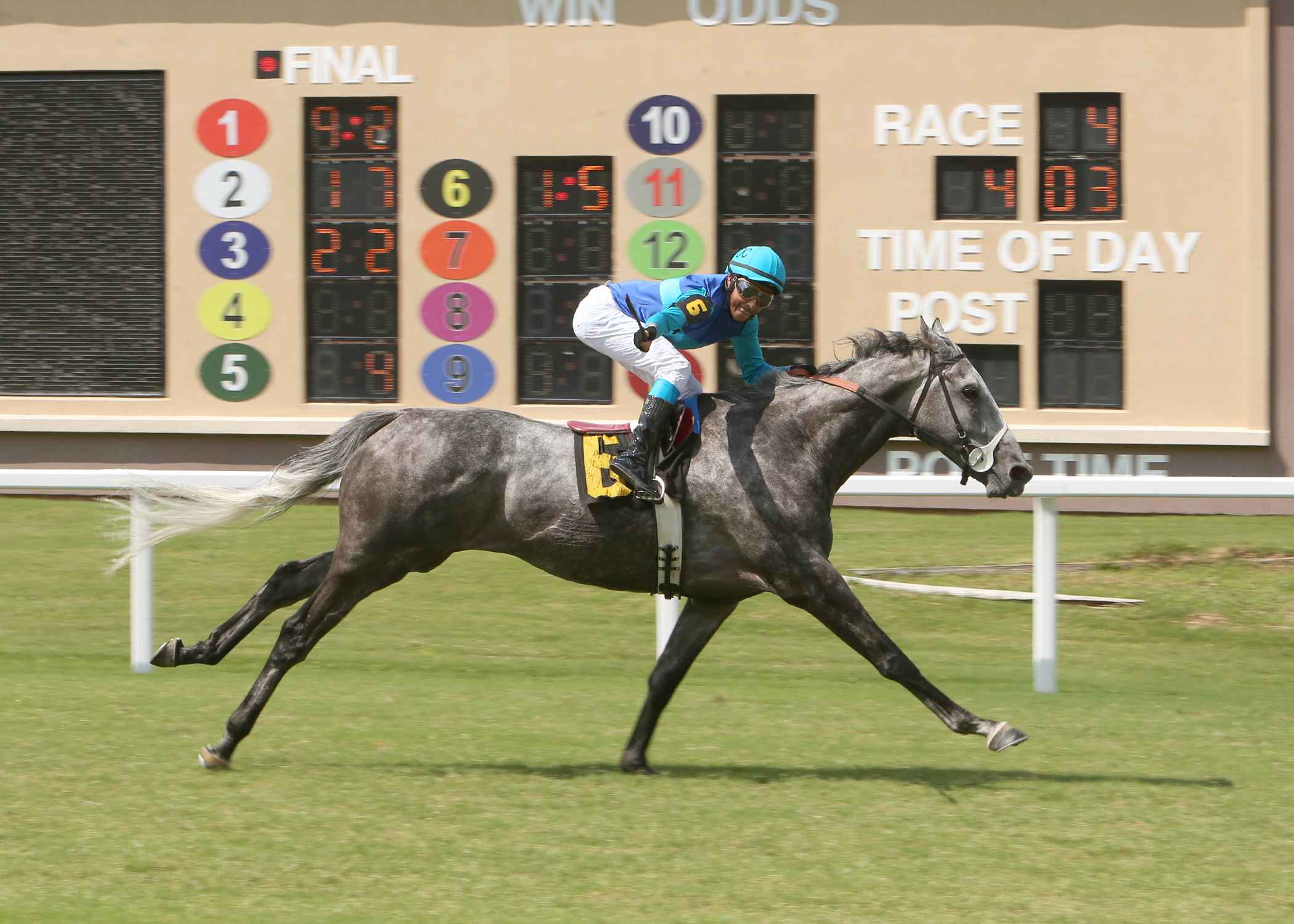 Sunlit Song wins Texas Horse Racing Hall of Fame 6-13-2021