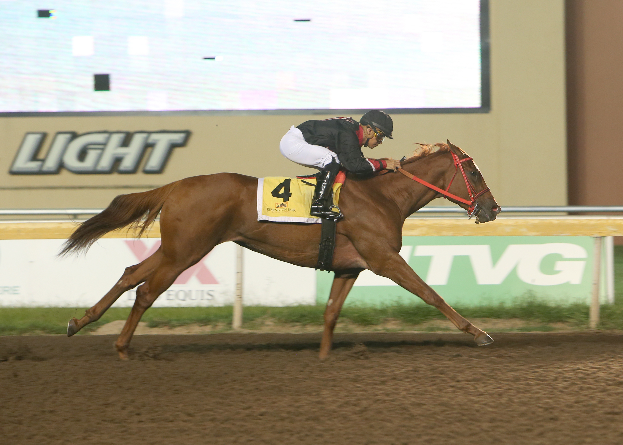 Hits Pricey Legacy/Oklahoma Stallion